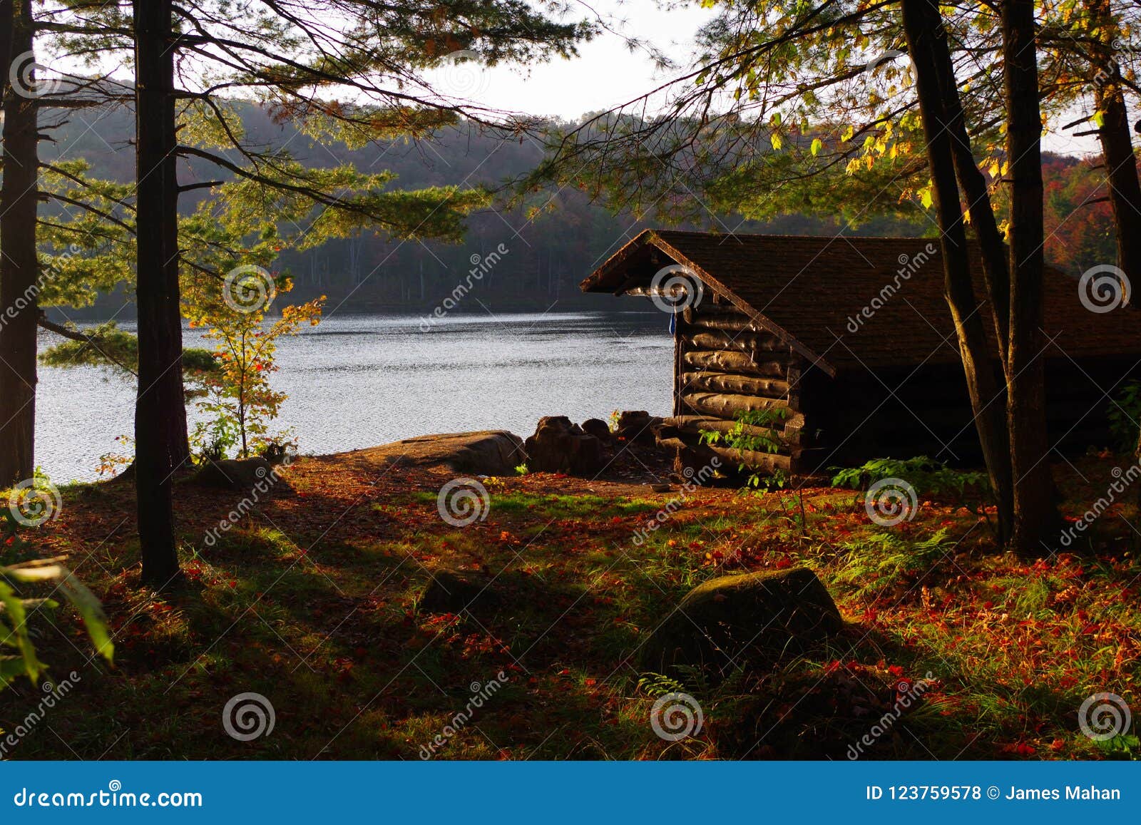 Log Cabin Lean To Shelter Campsite In The Adirondack Mountains