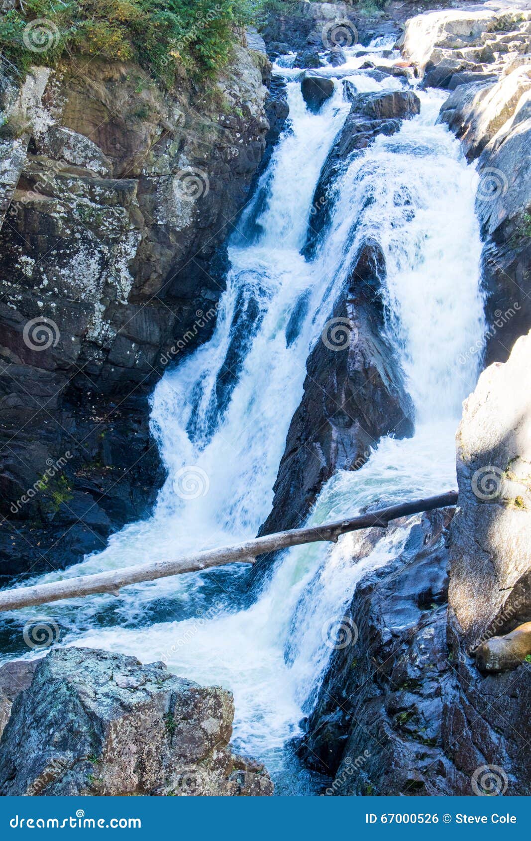 log fallen across high falls gorge.