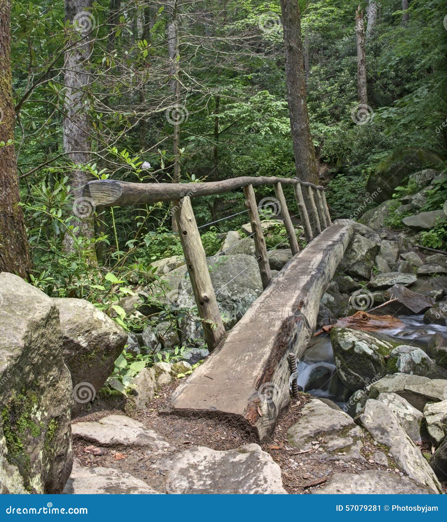 log footbridge, great smoky mountains national park