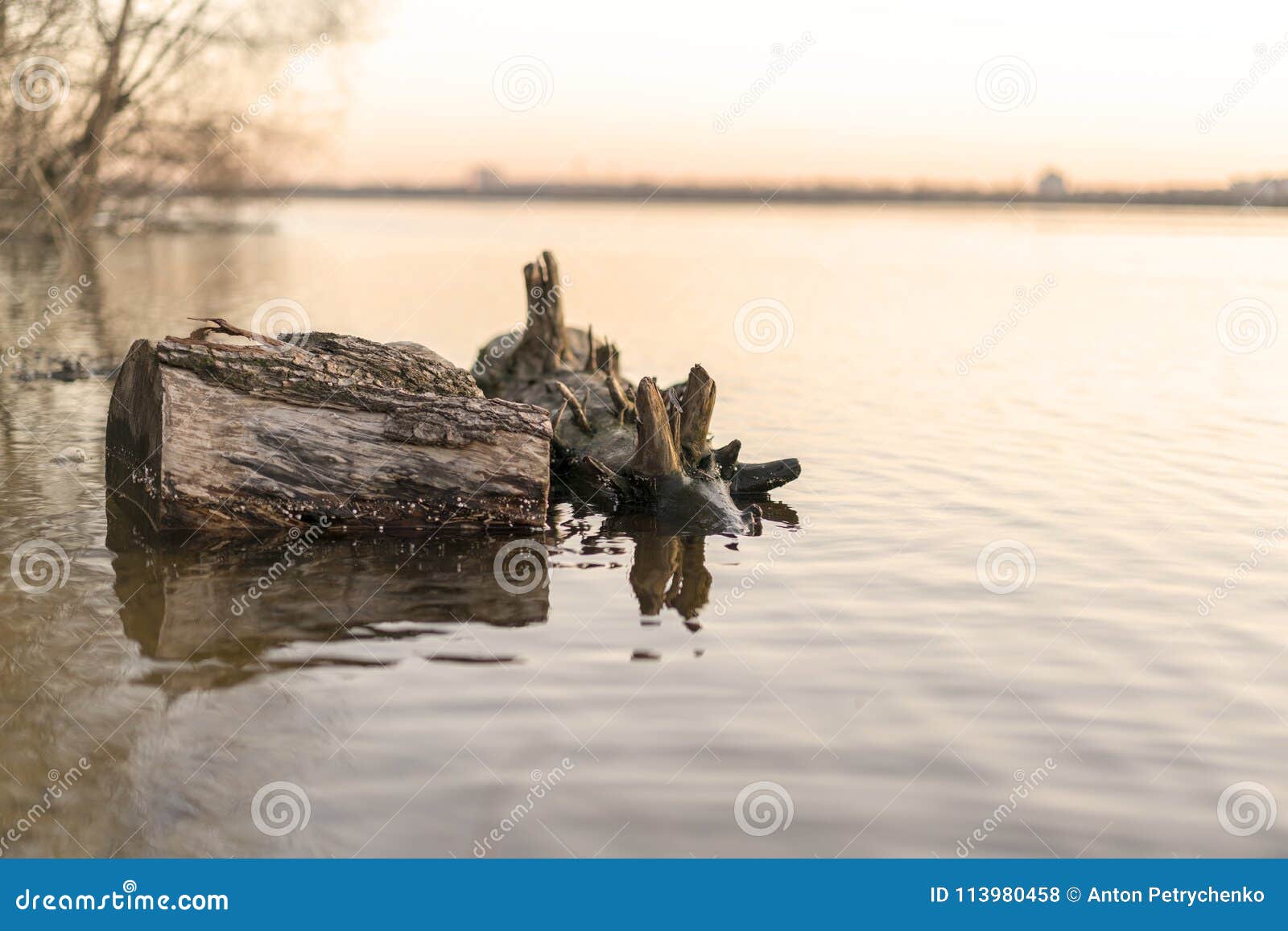 Log, a Snag in the River at Sunset Stock Photo Image of beauty, mountain 113980458