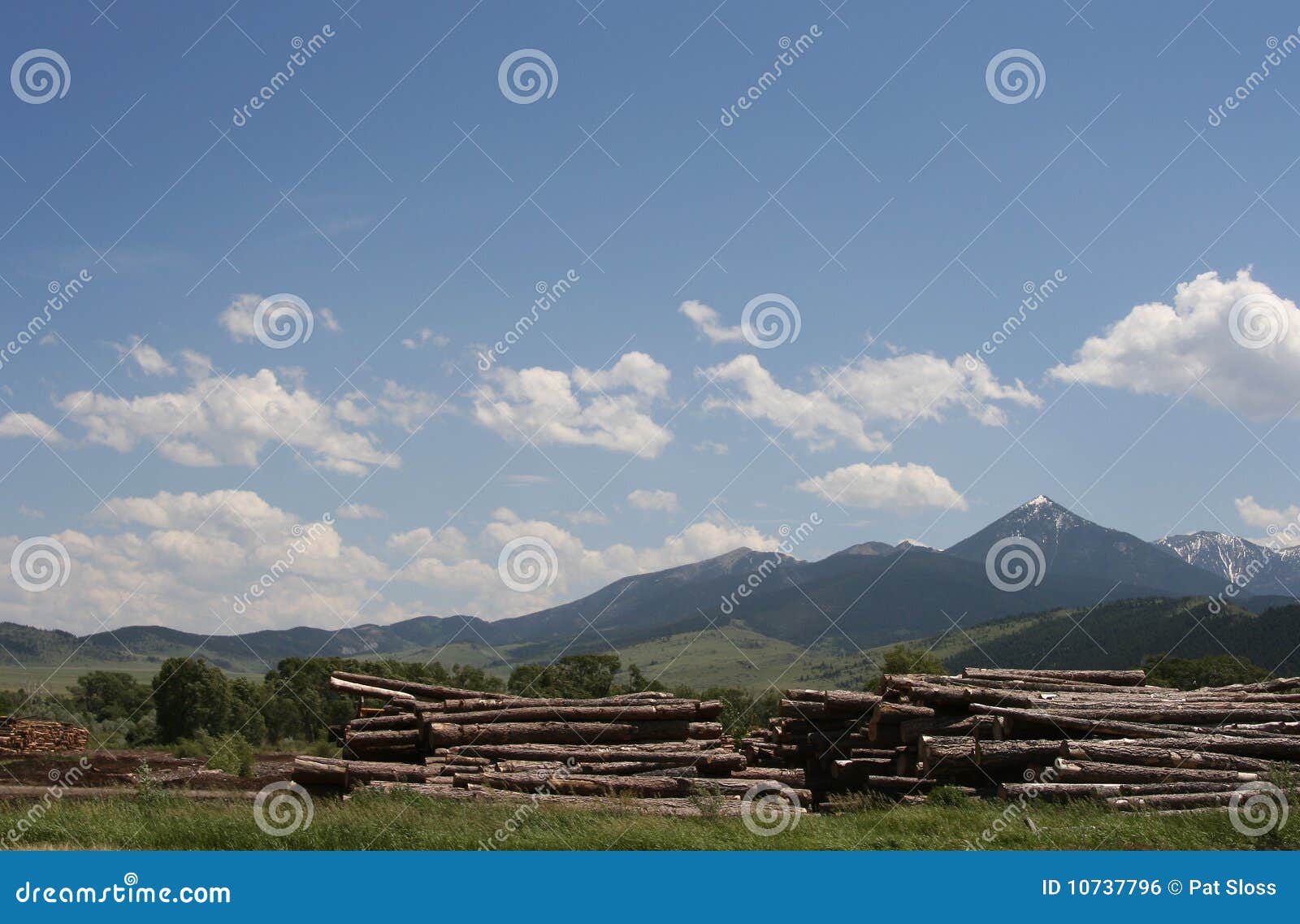 Logging in Elgin Oregon stock photo. Image of blue, mountain 10737796