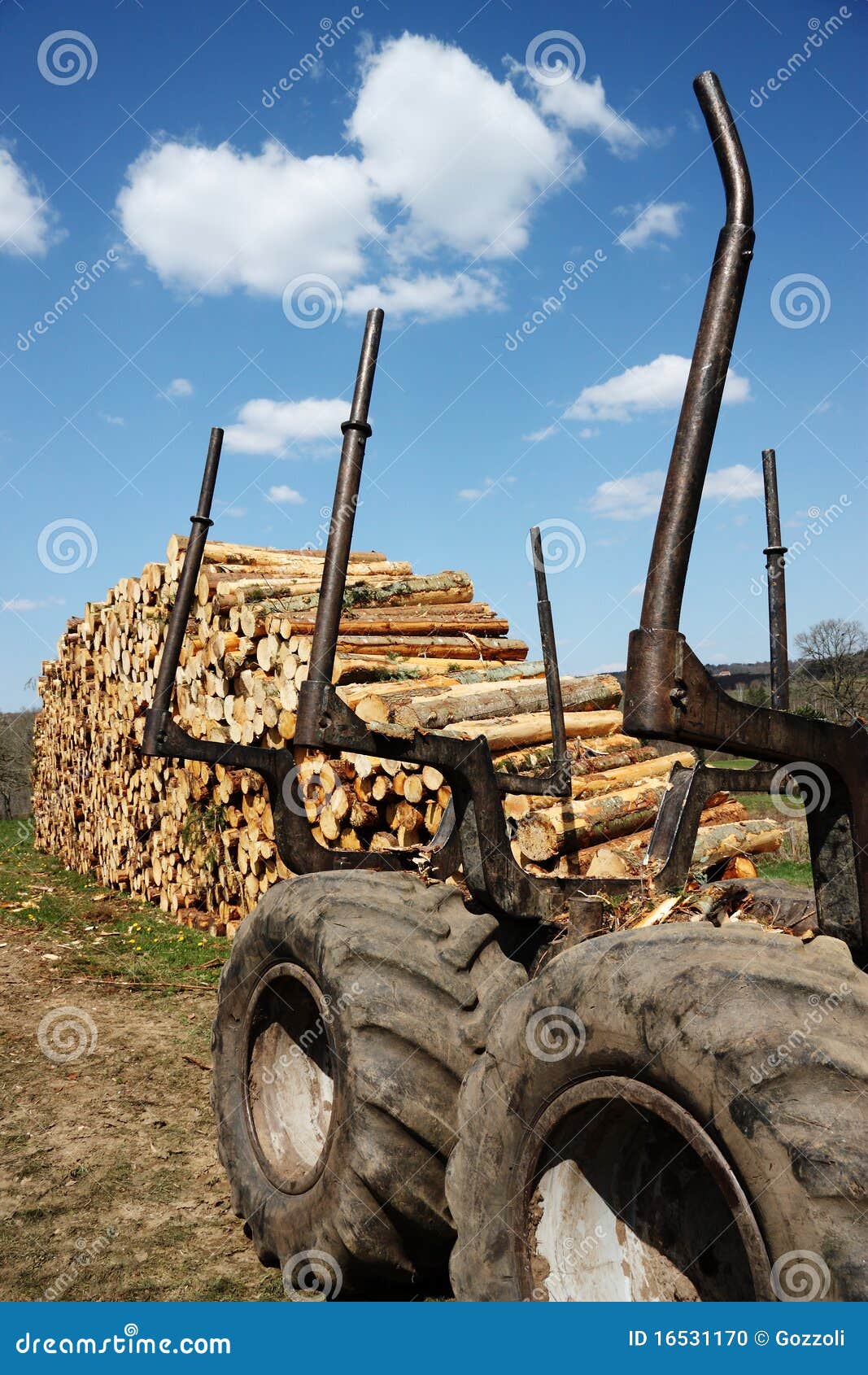 Logging or Timber Industry Resources Stock Photo Image of environment