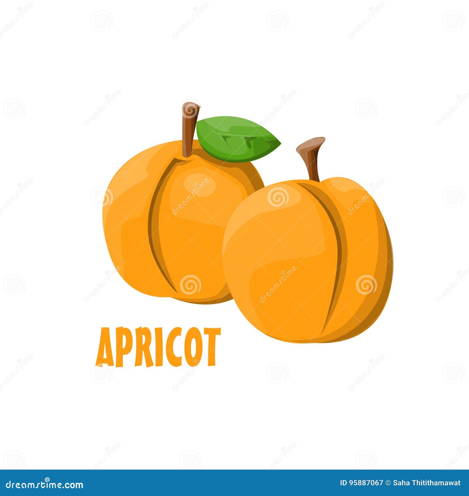 Logo Apricot Vector Farm Design Stock Vector Illustration of orange