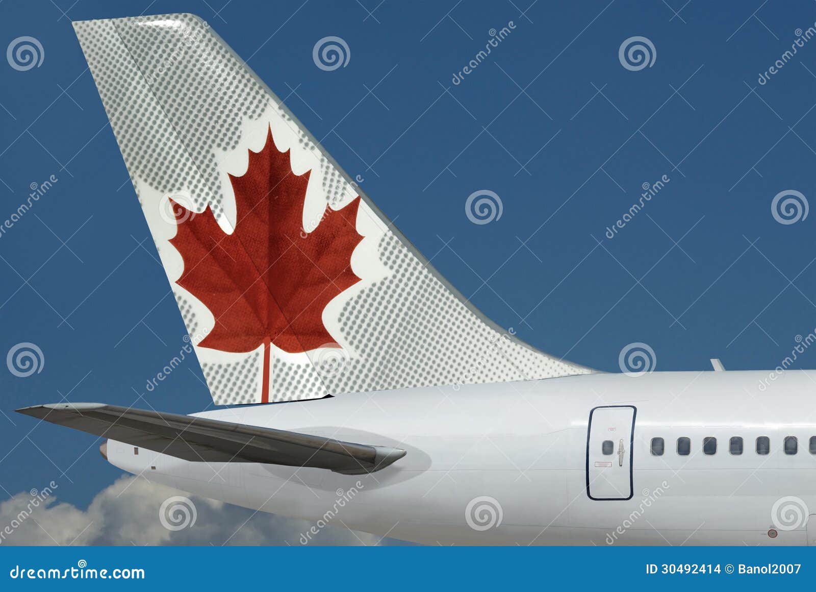 Logo di Air Canada sull'aereo. Cielo. L'aeroplano di Air New Zealand con il logo sulla coda è primo piano sul bello fondo del cielo blu. L'area del cielo è libera per il vostro testo.