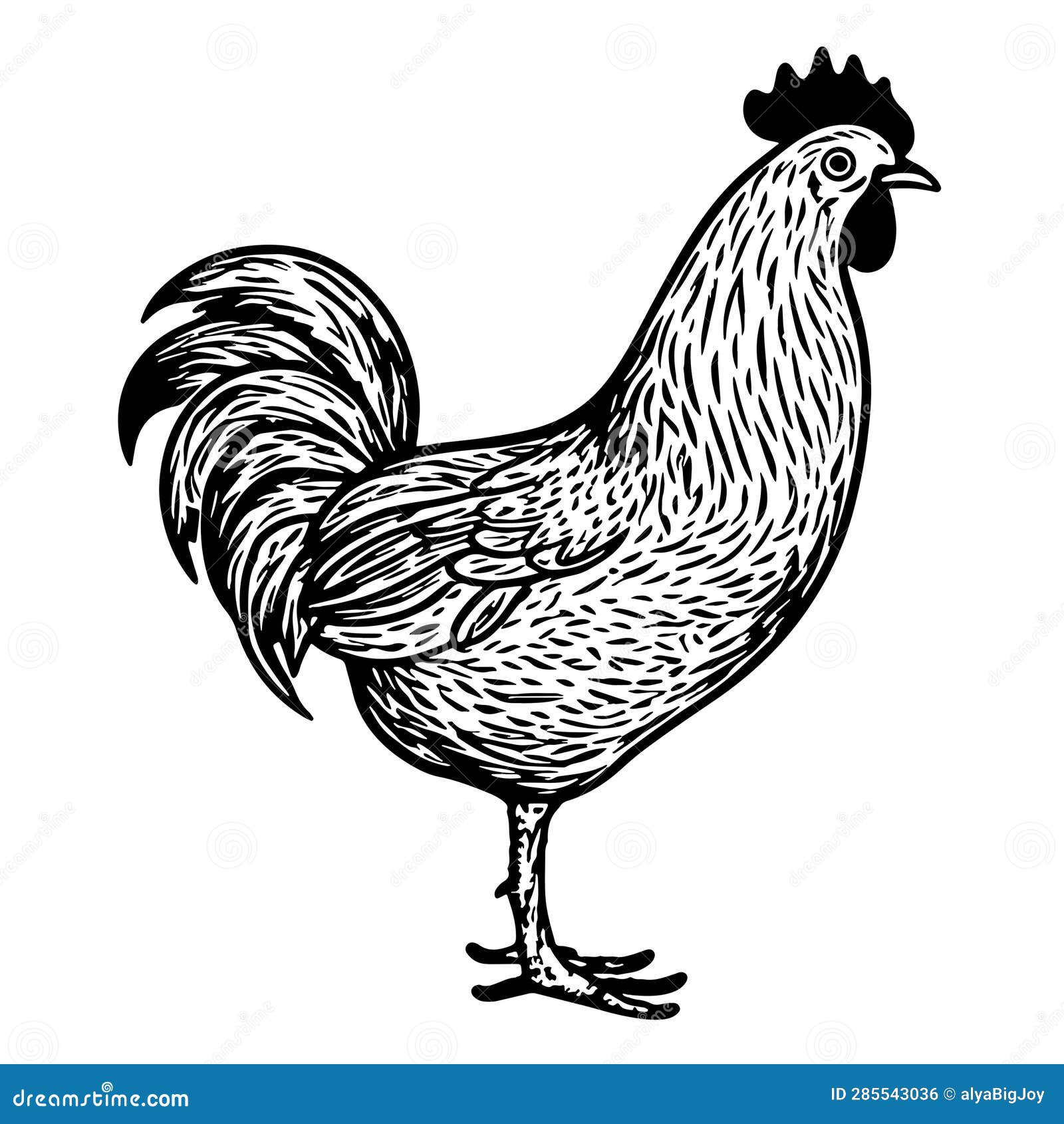 Logo Farm Rooster Hand Drawn Sketch Vector Illustration Stock