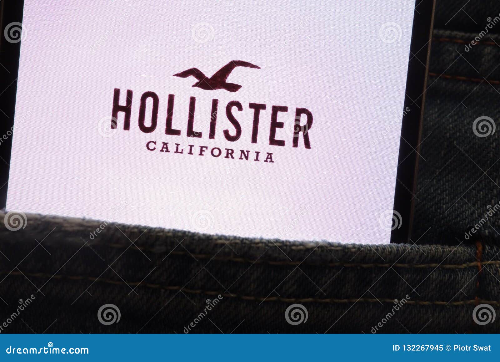 Logotipo De Hollister Indicado No 