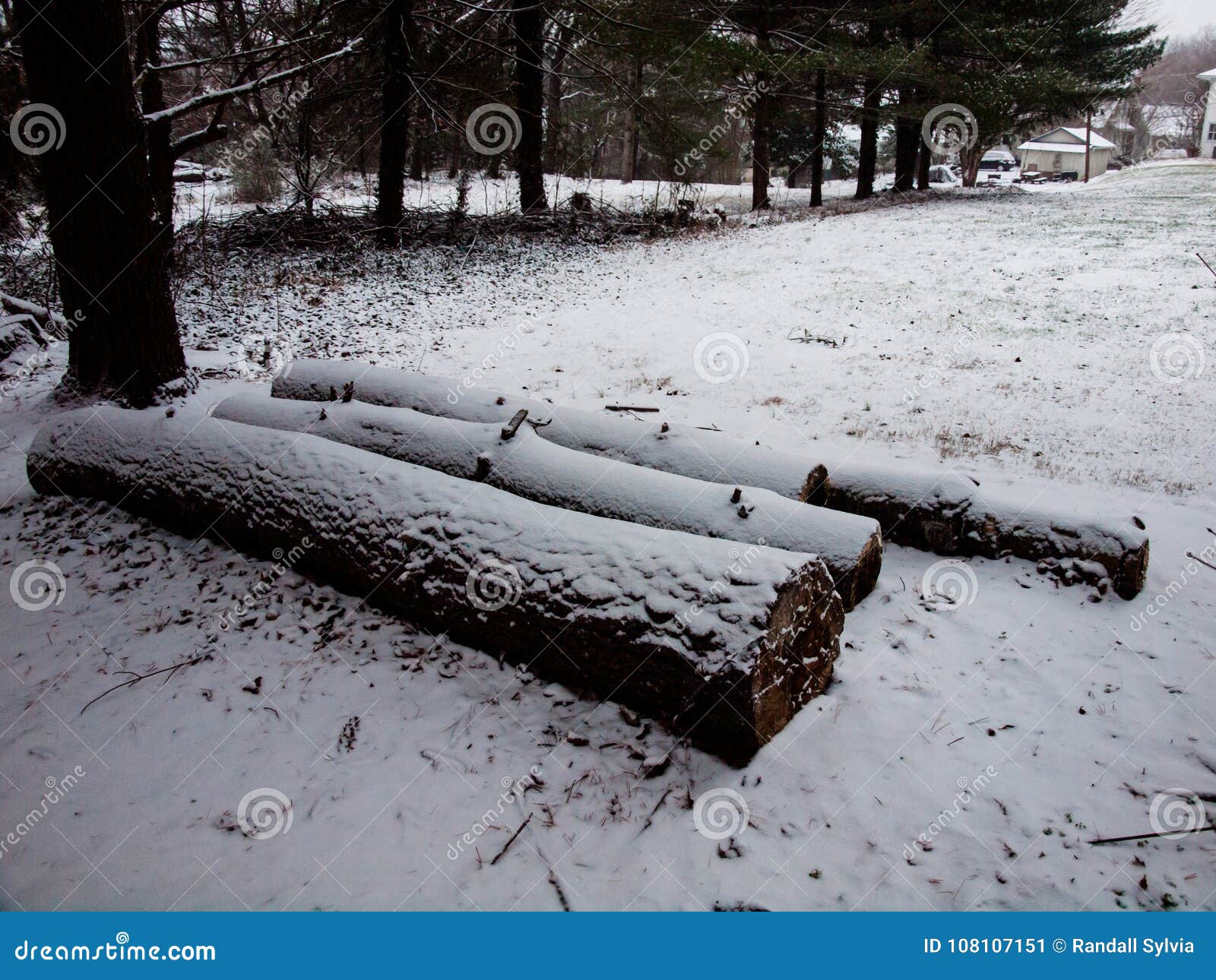 logs covered with snow from first storm