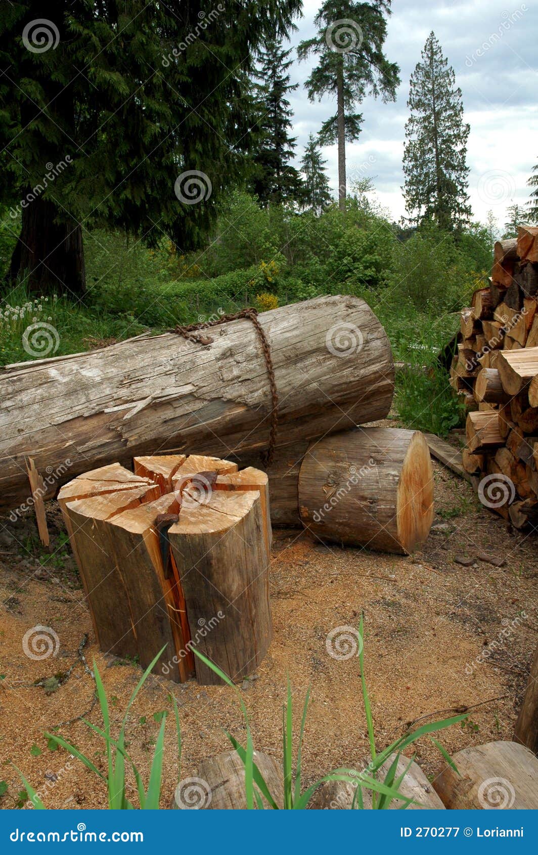 Logsfirewood stock image. Image of stacked, rural, energy 270277
