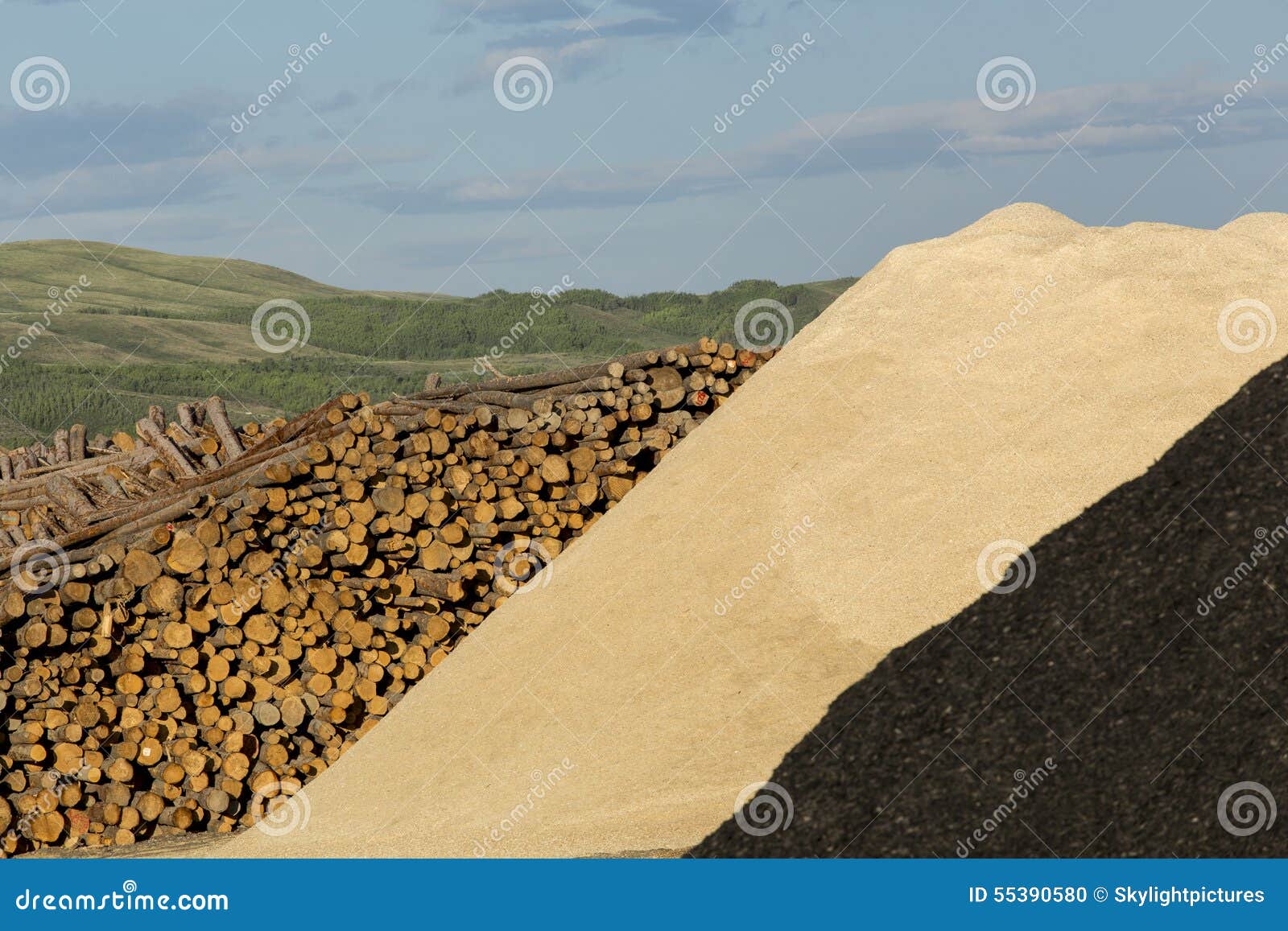 Logs and Wood Chips stock photo. Image of fibre, texture 55390580