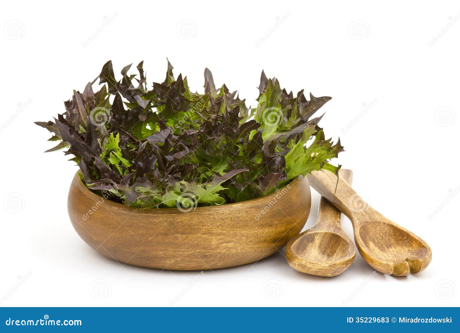 lollo rosso lettuce in a bowl