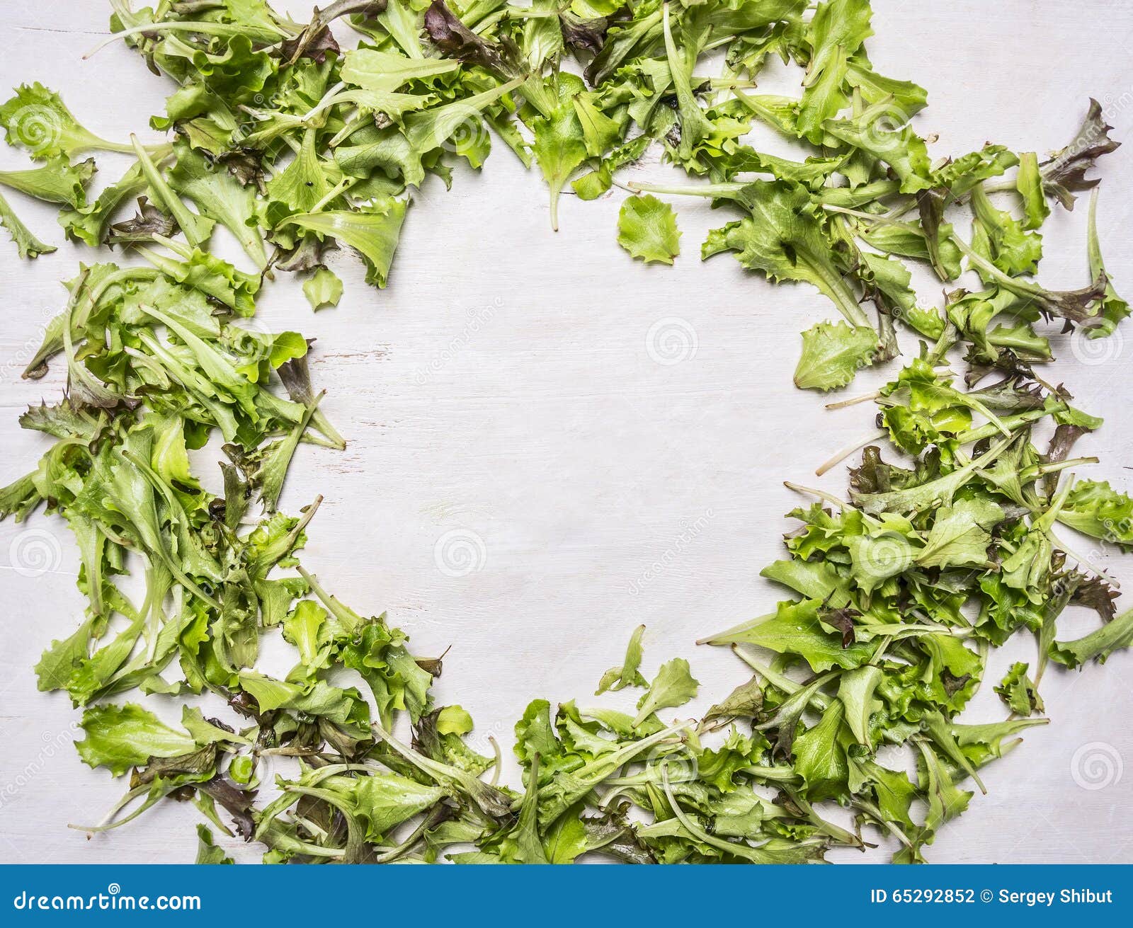 lollo rosso lettuce fresh laid out frame on wooden rustic background top view close up place for text,frame