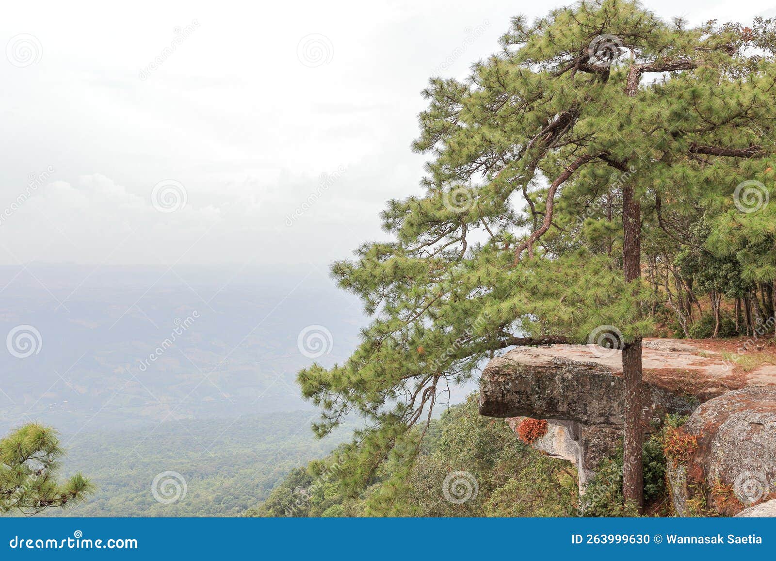 lom sak cliff, phu kradung national park, thailand