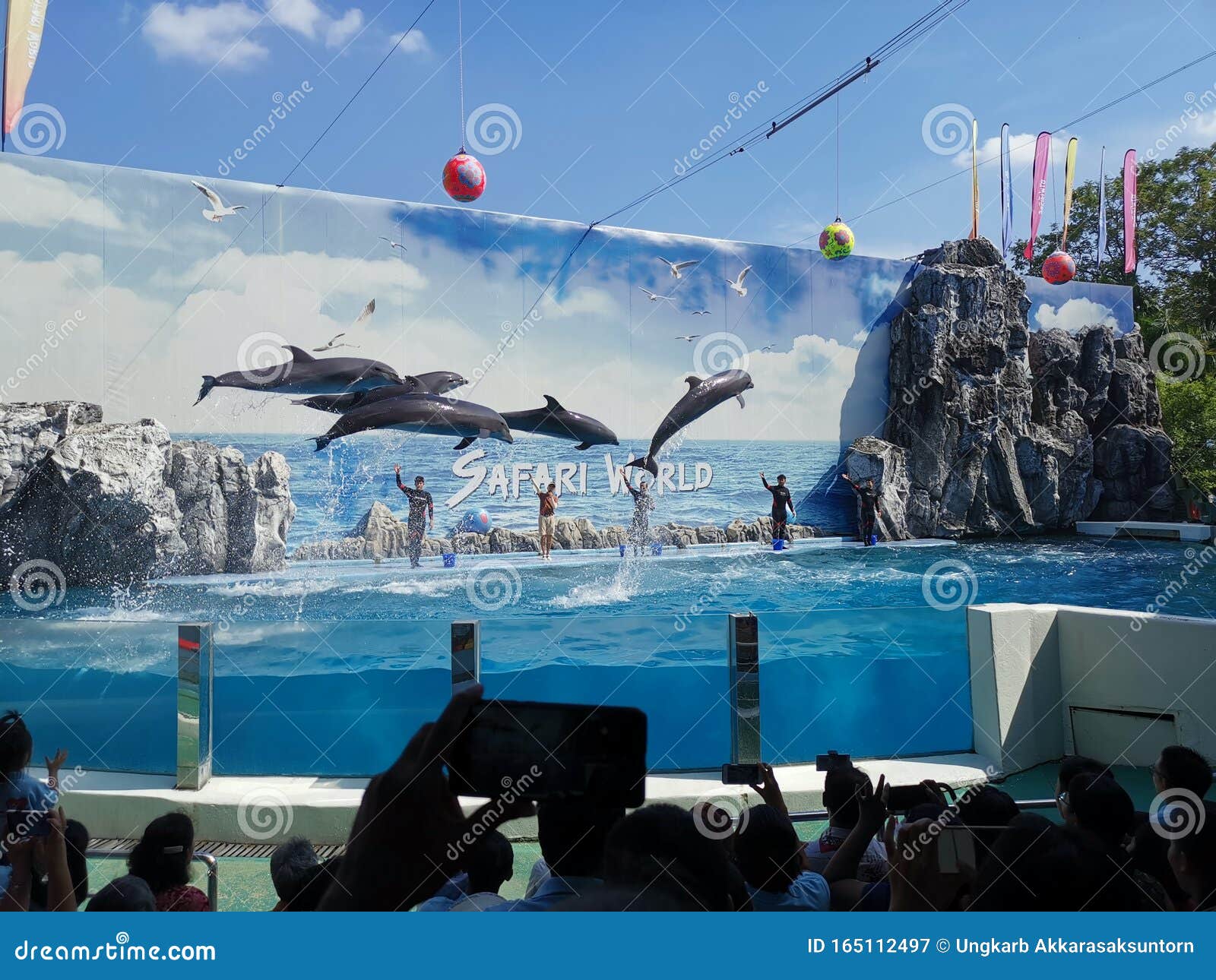 A Loma Show in a Big Pool at Safari World & X28;an Open Air Zoo in ...