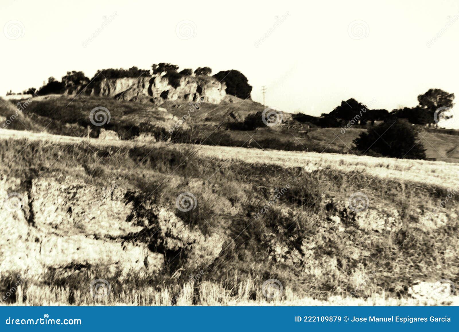 lomography. landscapes in carmona, seville 30