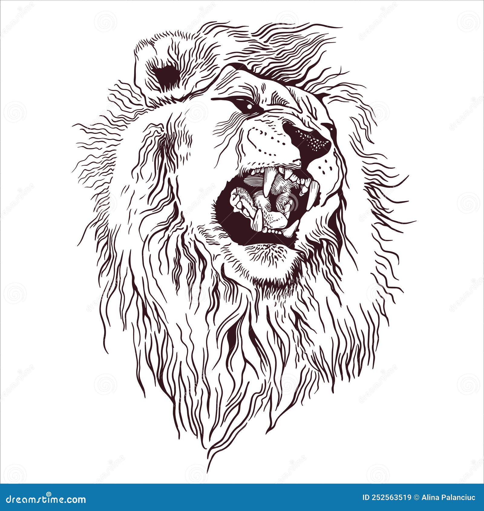 Hand drawn lion roar, sketch graphics monochrome illustration on white  background (originals, no tracing Stock Photo - Alamy