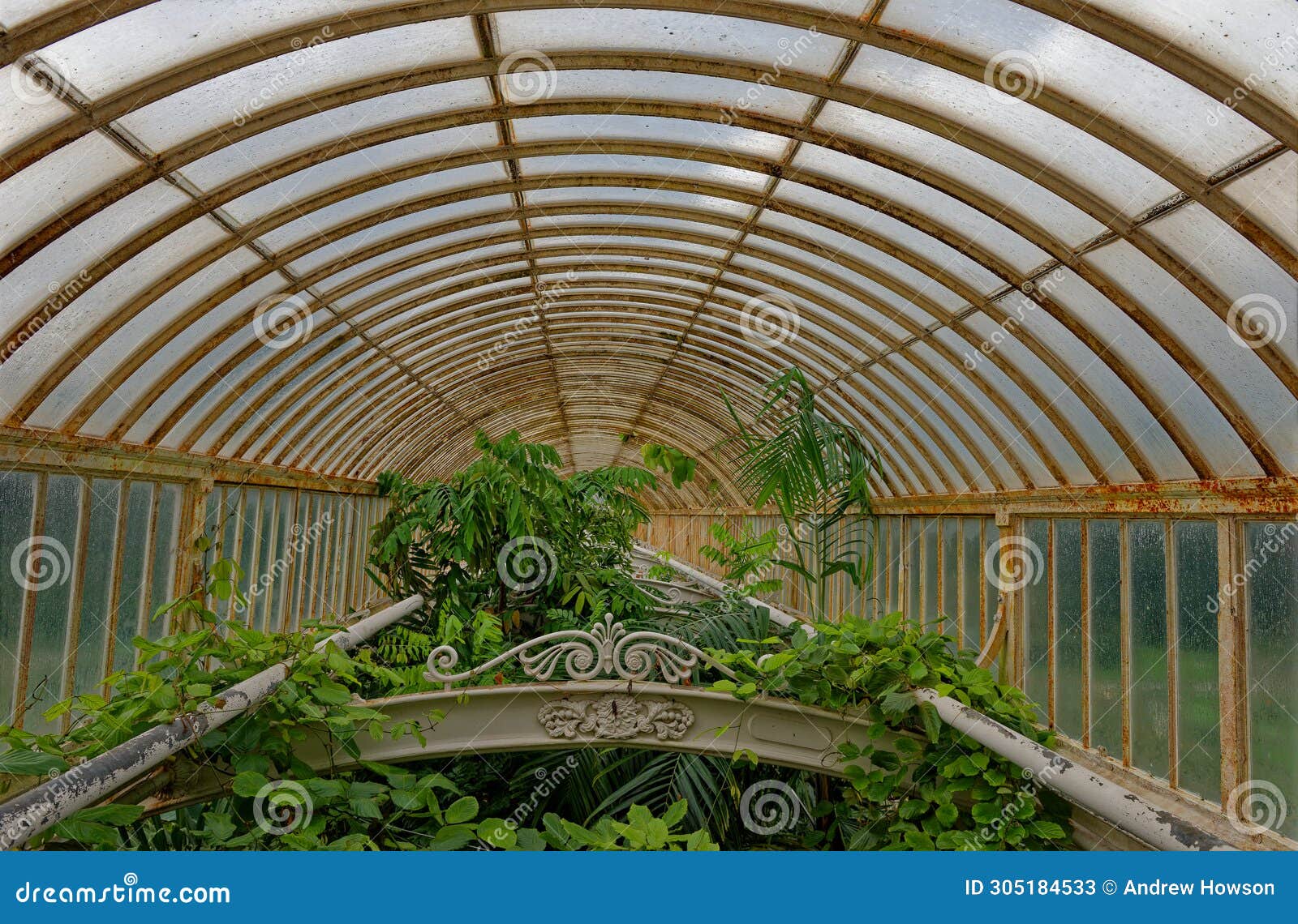 london, kew gardens: victorian green house