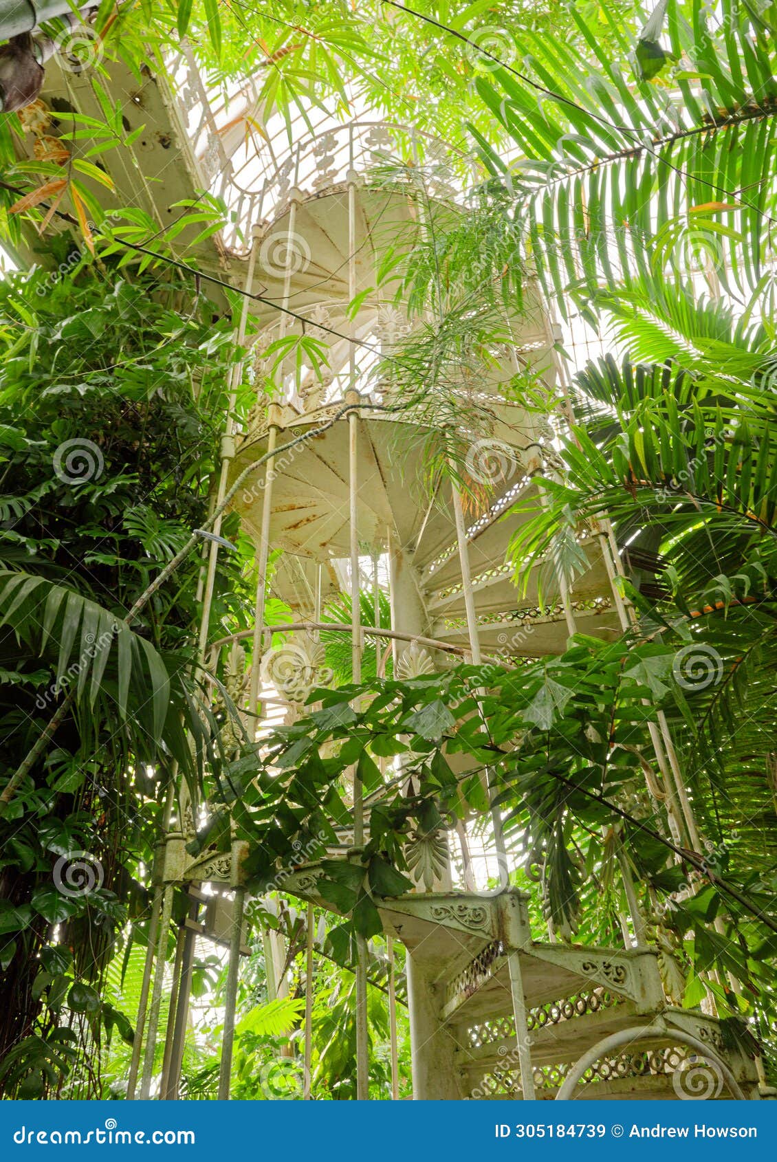 london, kew gardens: victorian staircase