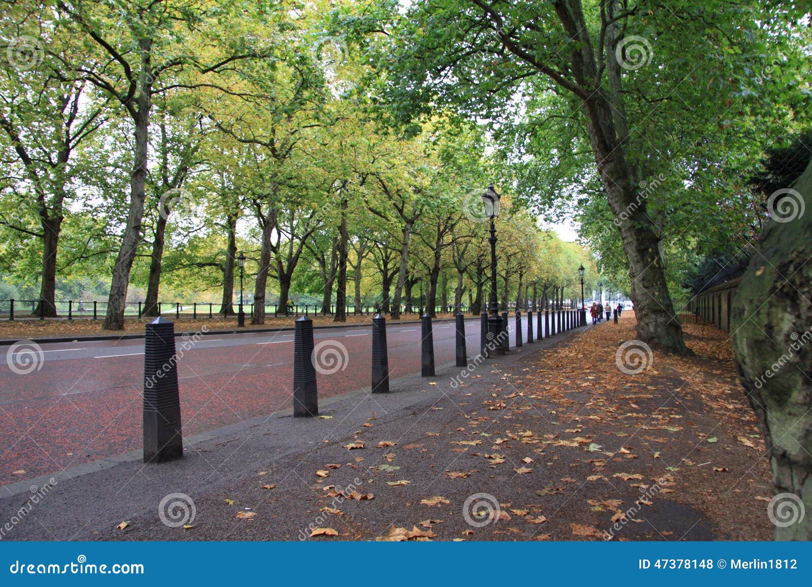 London stock photo. Image of tree, street, trees, london 47378148