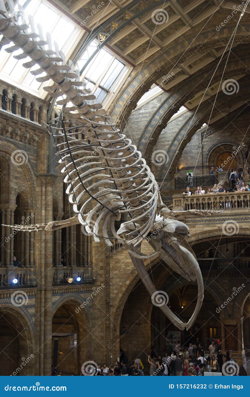 London, . August 22, 2019 - Natural History Museum Interior in London. Travel in England Editorial Photography - Image of hall, culture: 157216232 London, . August 22, 2019 - Natural History Museum Interior in London. Travel in England Editorial Photography - Image of hall, culture: 157216232