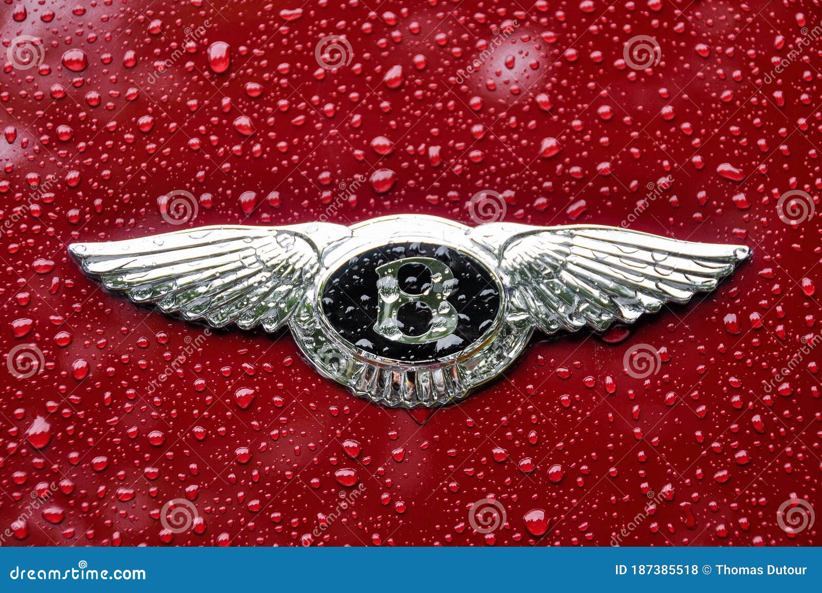 501 Bentley Logo Photos Free Royalty Free Stock Photos From Dreamstime