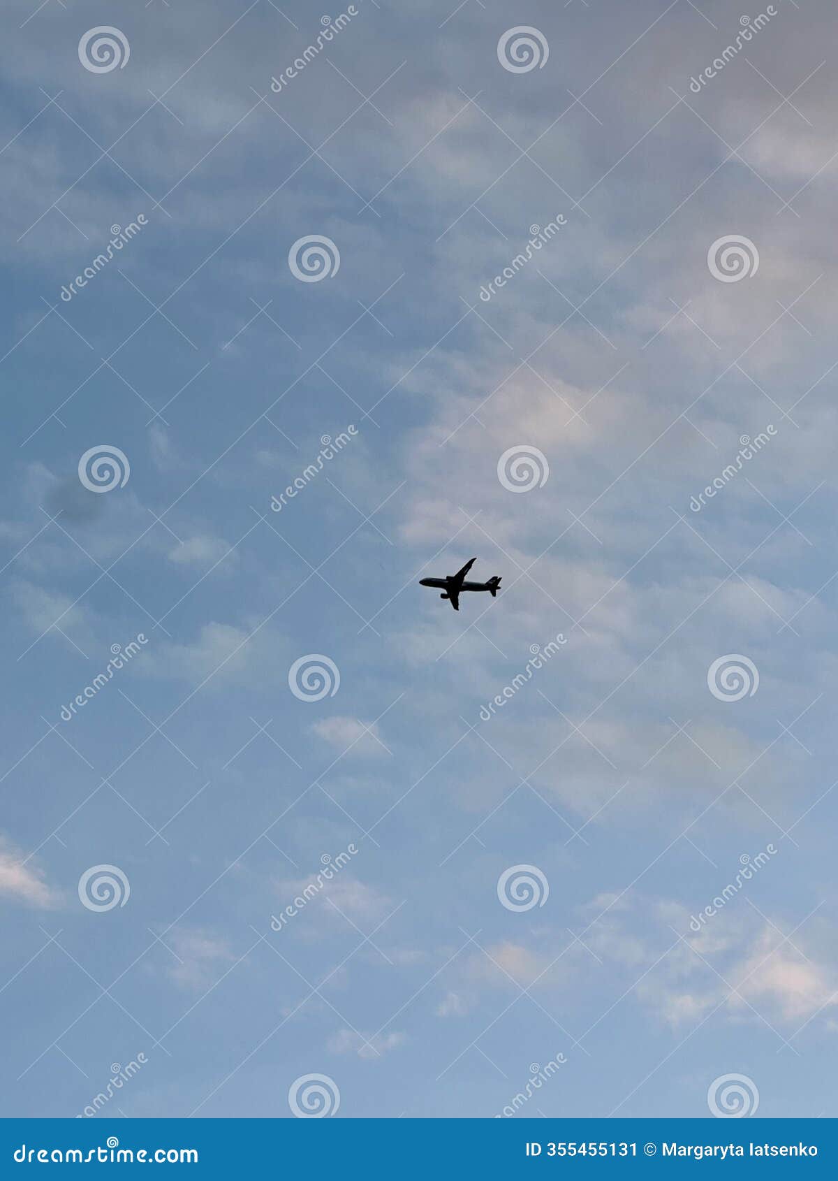 airplane silhouette against a soft sky