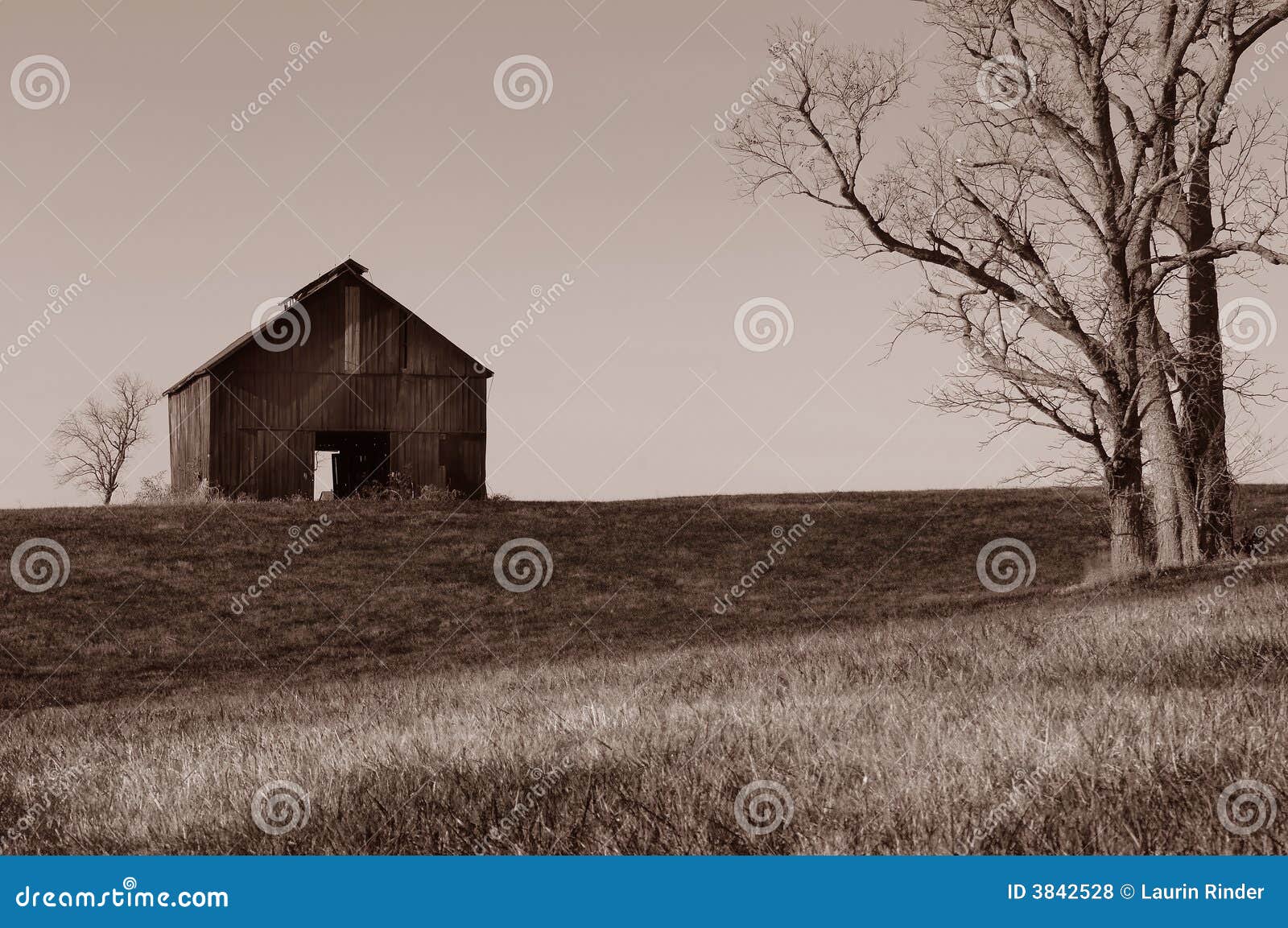 Lone Barn Stock Photo Image Of Farm America Field Sepia 3842528