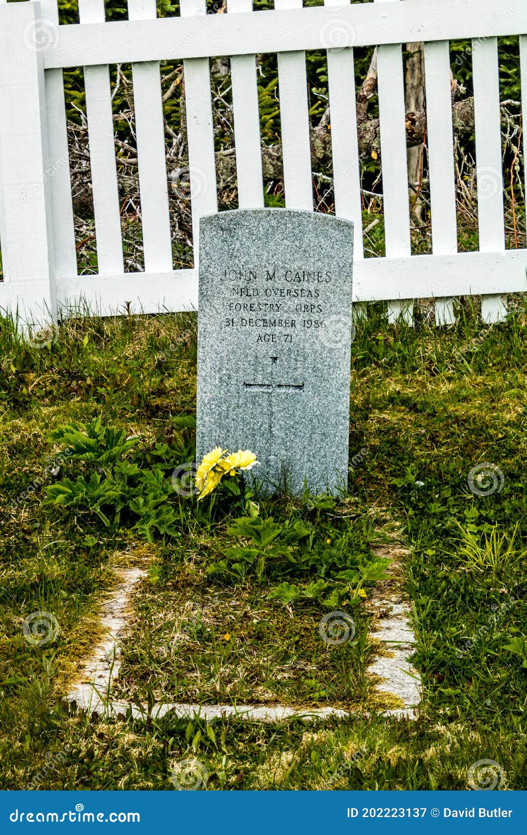 Lone Headstone in a Small Cemetry. Shallow Bay,Newfoundland,Canada