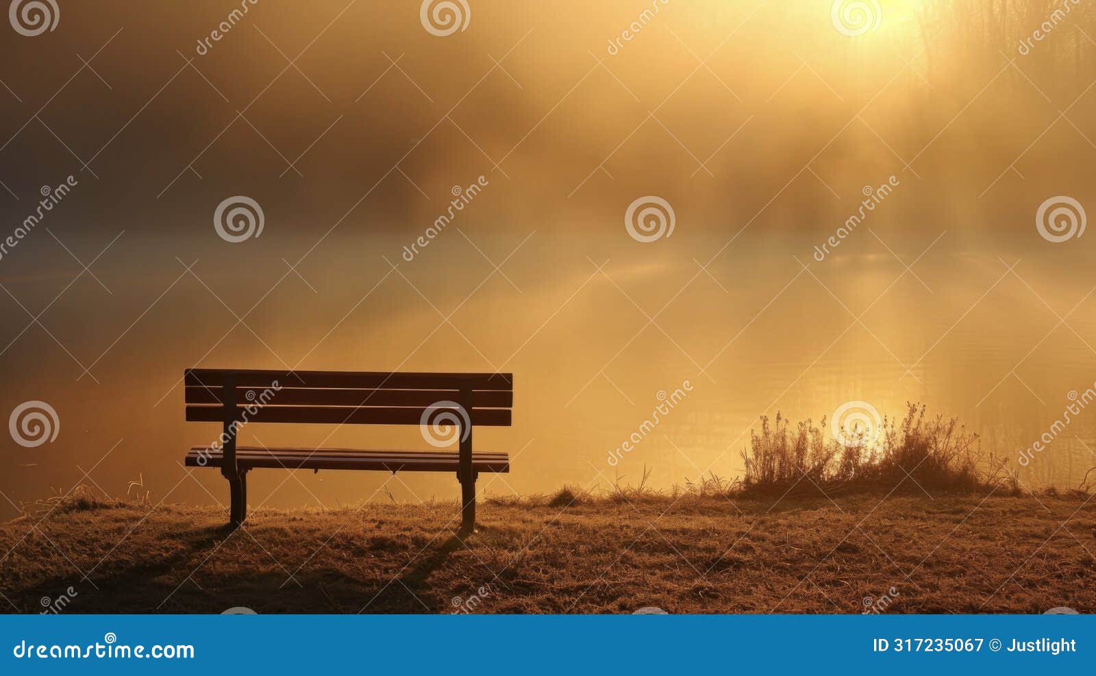 a lone park bench sits in the midst of the backlit fog creating a serene and peaceful scene