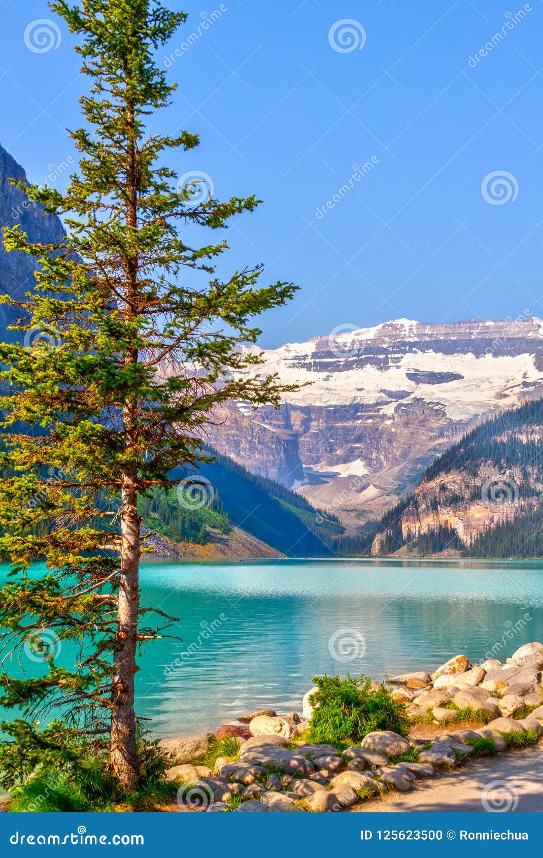 Lake Louise With Mount Victoria Glacier In Banff National Park Stock Photo - Image of travel ...