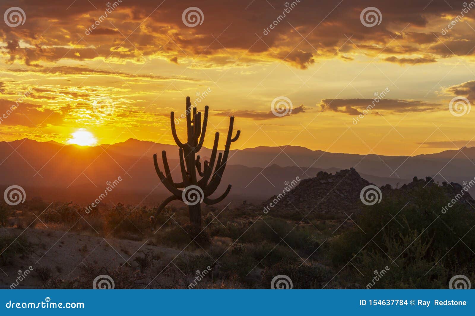 Lone Saguaro Cactus with Vibrant Desert Sunrise Sky Stock Photo - Image ...