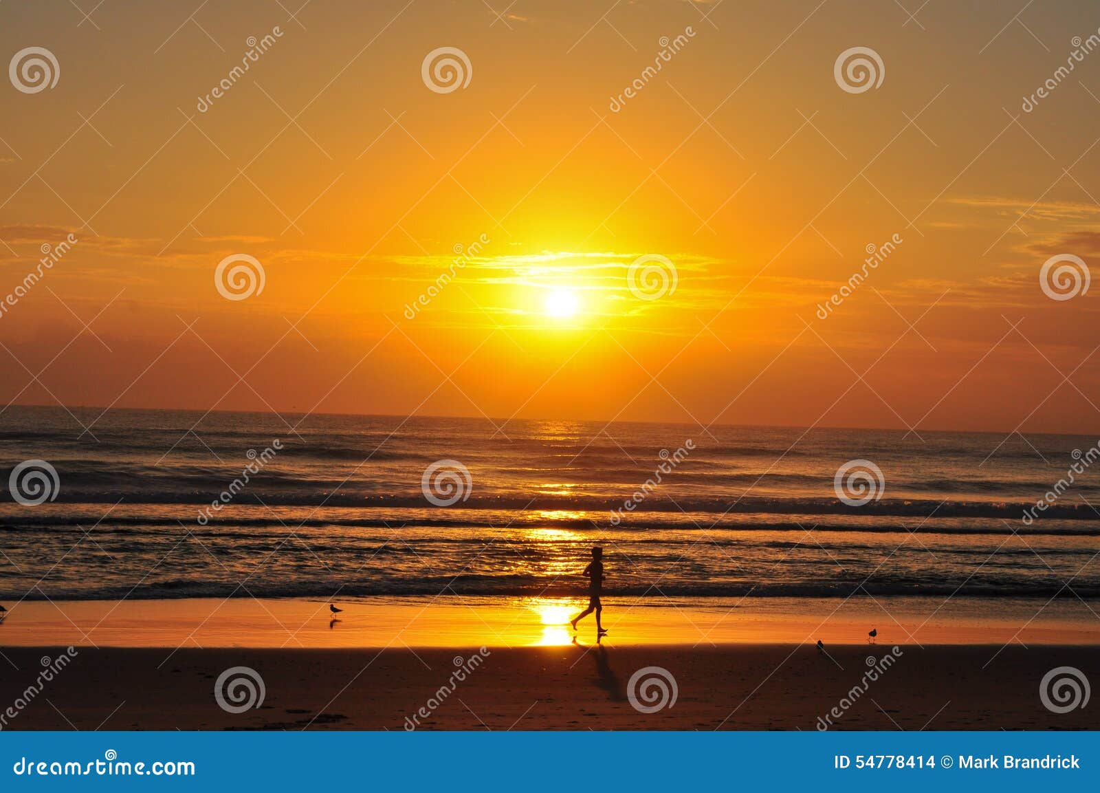 Lone Sunrise Runner on Surfers Paradise Beach Stock Photo - Image of ...