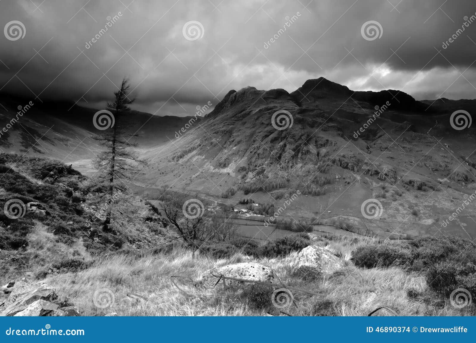 Lone Tree stock photo. Image of mickledean, railings 46890374