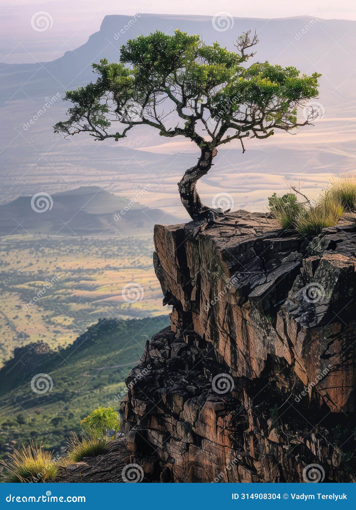 A Lone Tree Stands on a Rocky Cliff Overlooking a Vast, Empty Plain ...