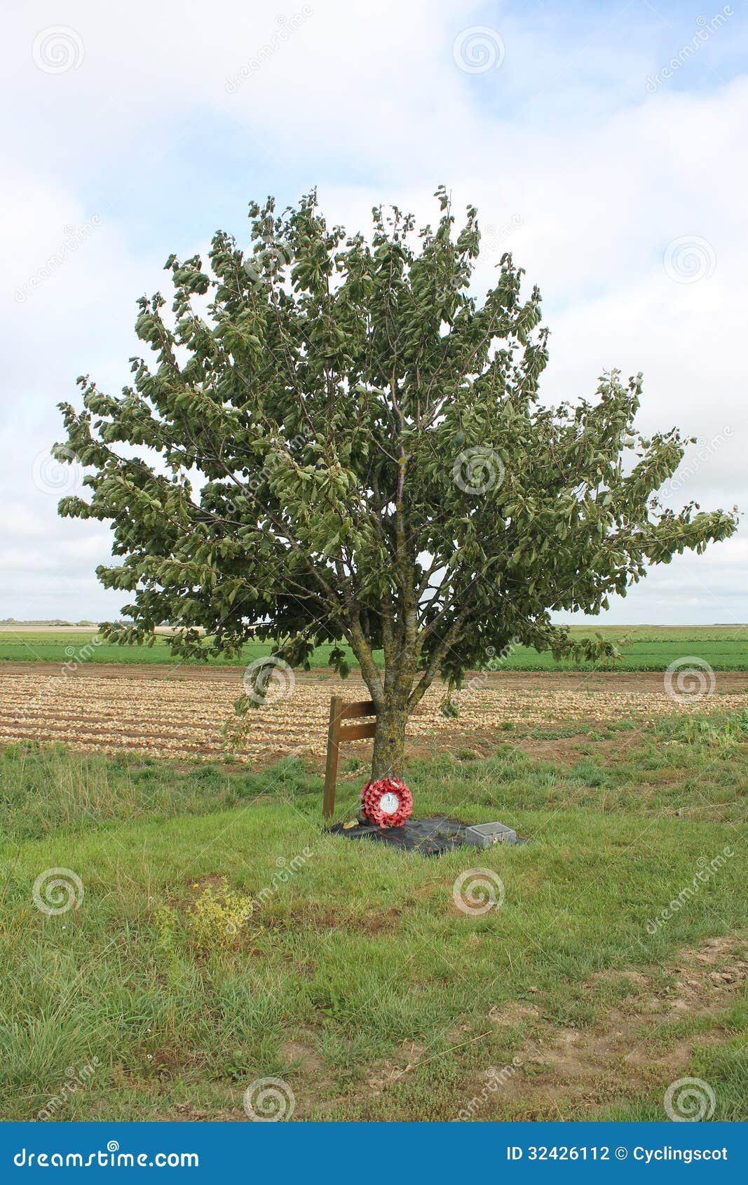 lone tree ww1 loos battlefield france