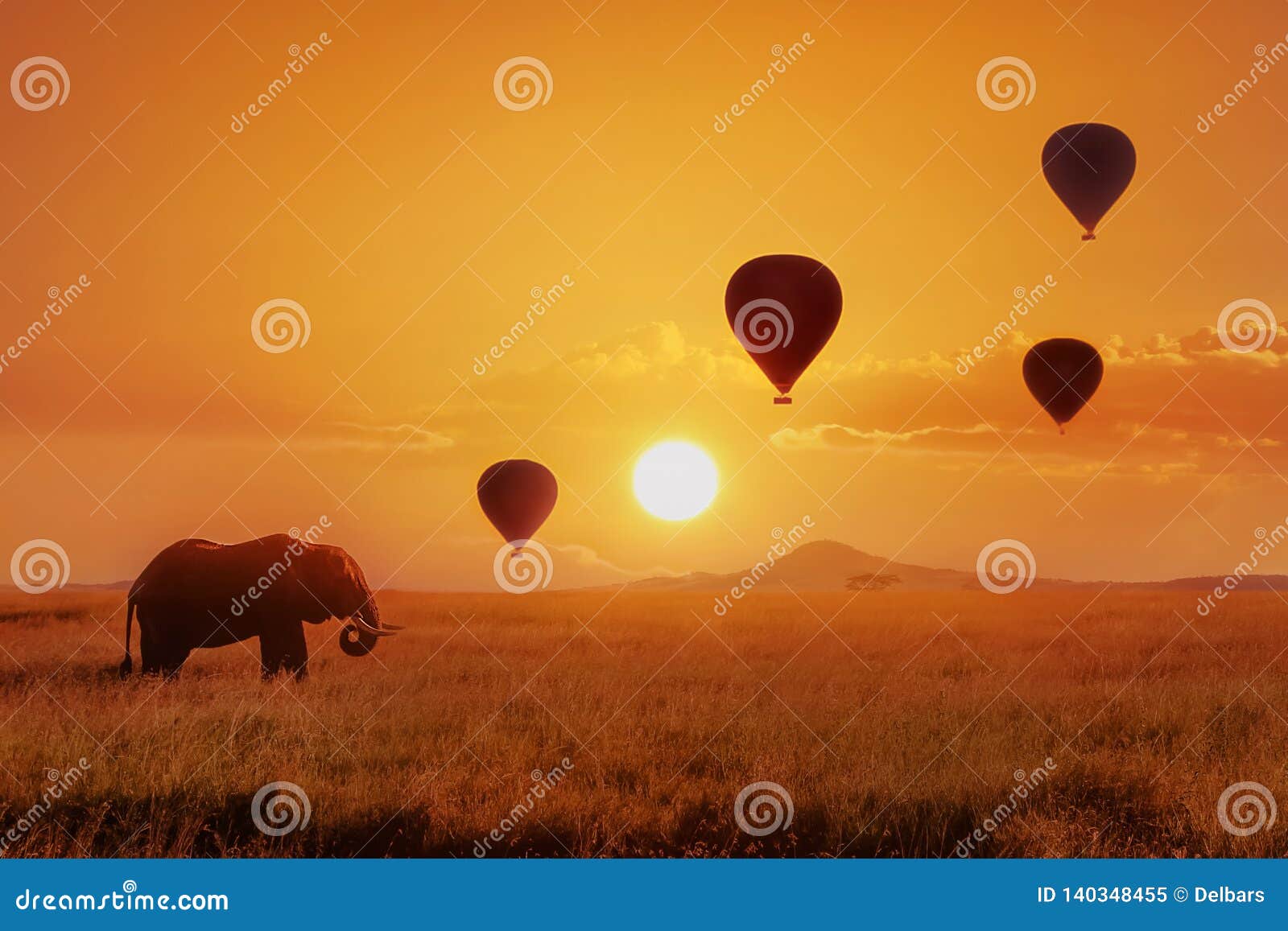 lonely african elephant against the sky with balloons at sunset. african fantastic image. africa, tanzania, serengeti national pa