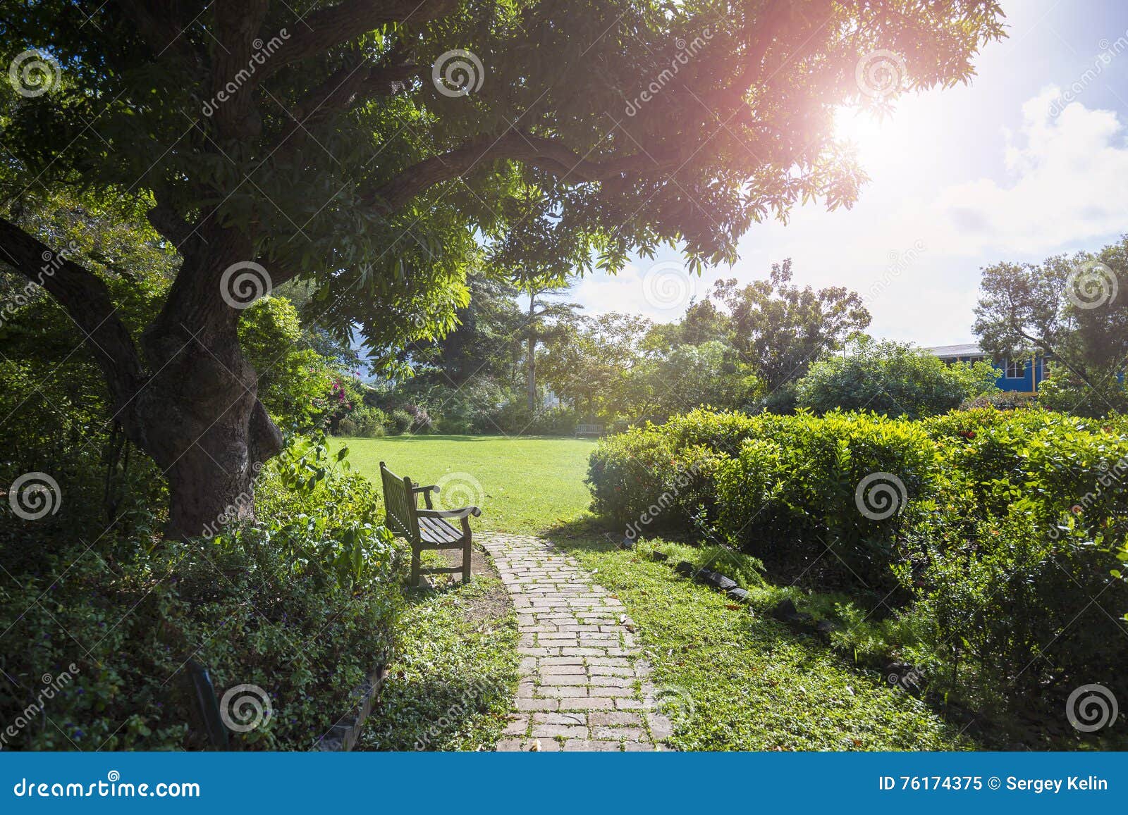 Lonely Bench In A Botanic Garden Road Town Tortola Stock Image Image Of Travel Planter Lonely Bench In A Botanic Garden Road Town Tortola Stock Image Image Of Travel Planter