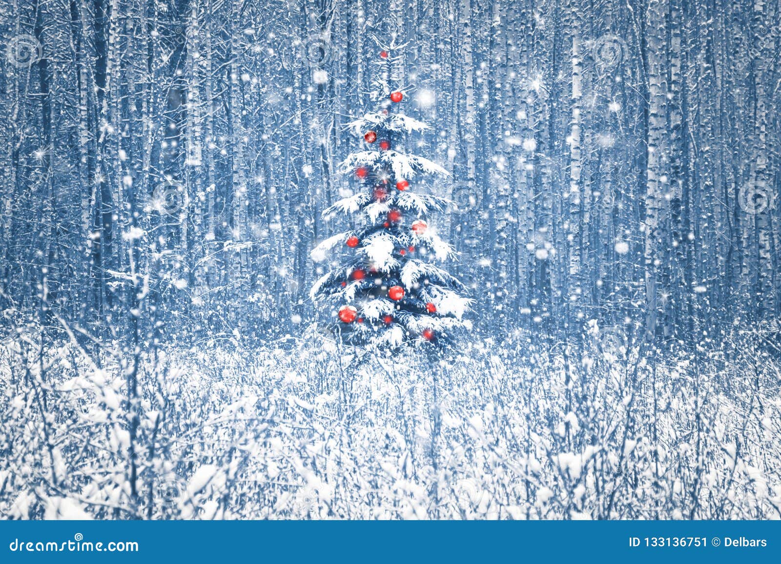 lonely blue spruce with red christmas decorations in a snowy winter forest.