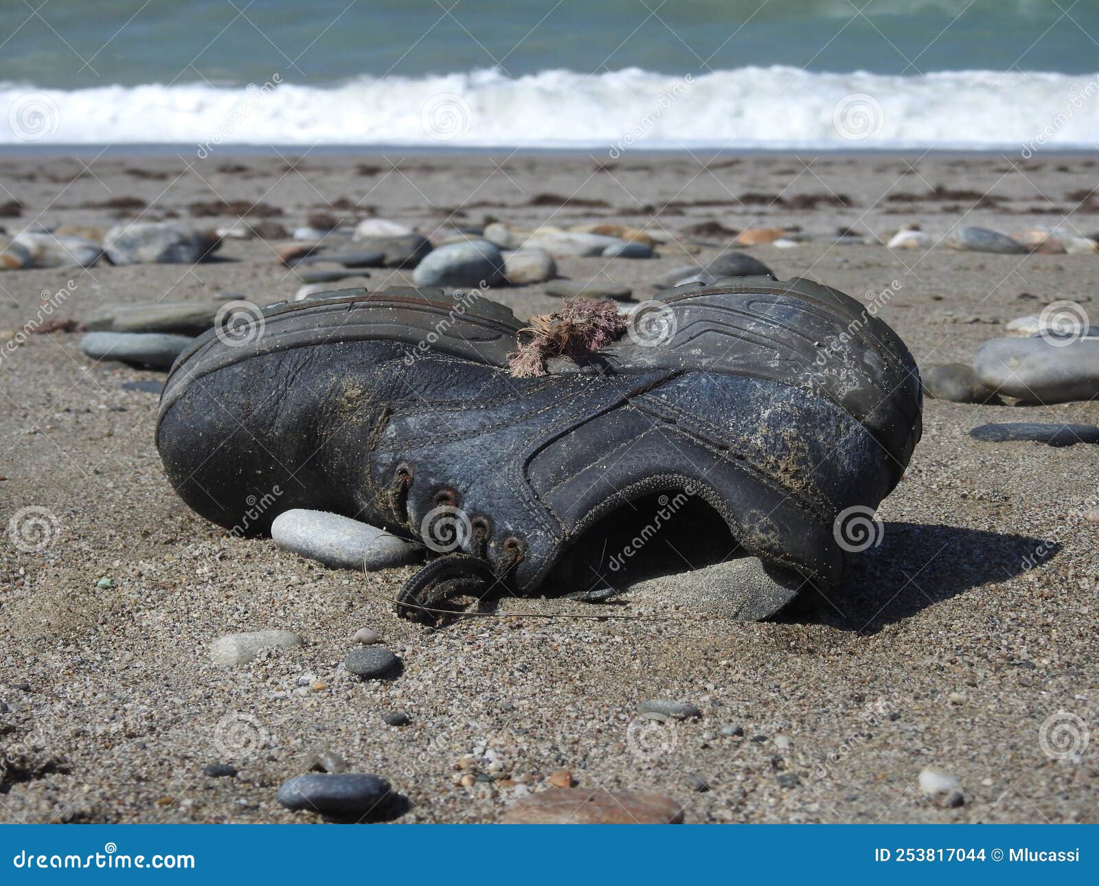 LONELY BOOT on the BEACH stock photo. Image of beach - 253817044