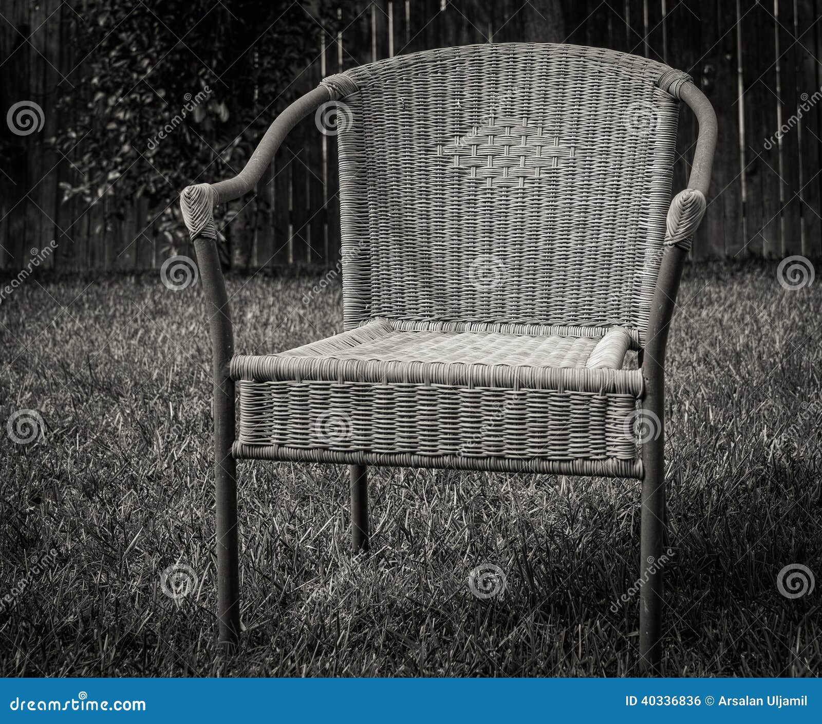 Lonely chair stock photo. Image of patio, grass, yard 40336836