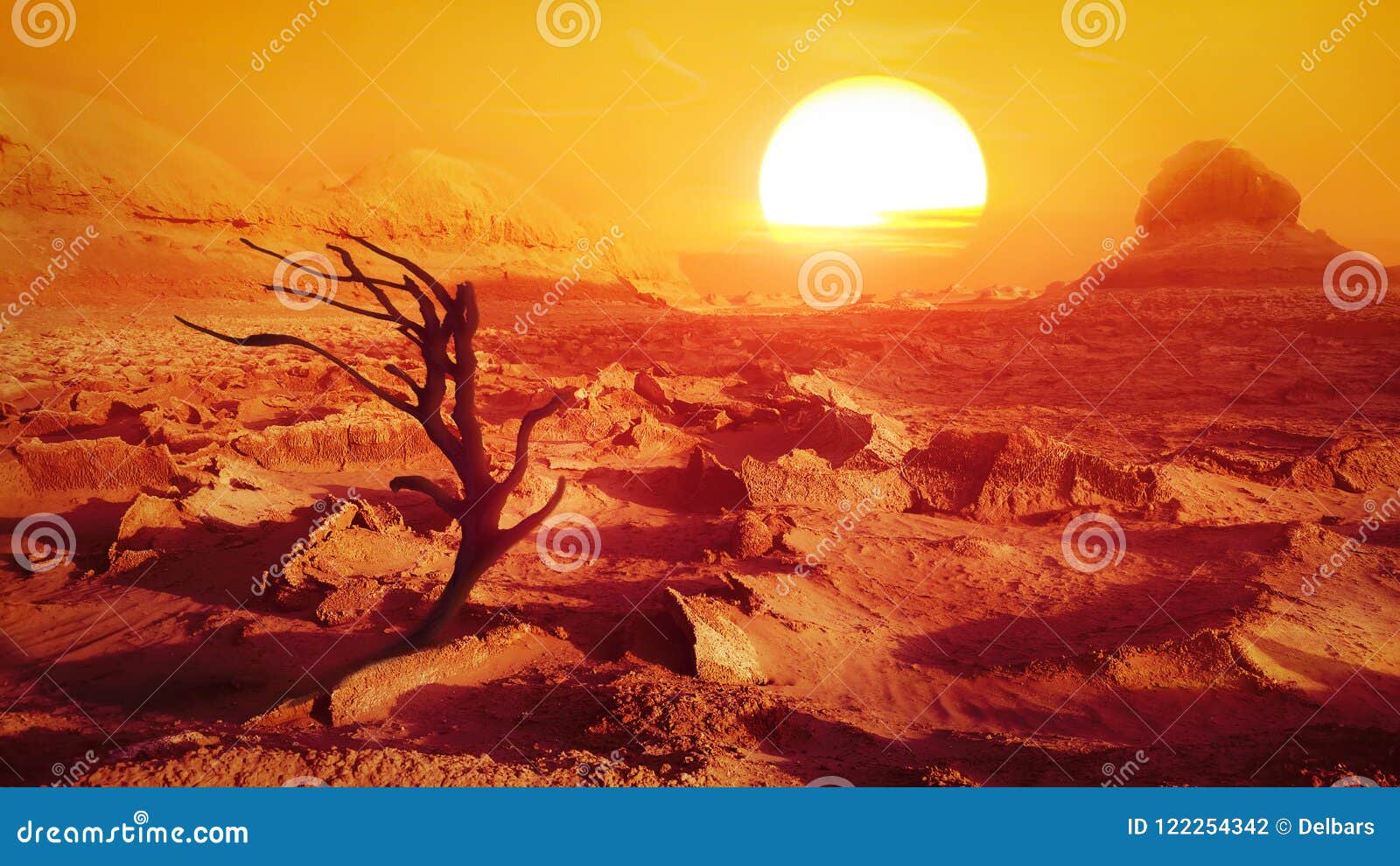 lonely dry tree in the desert against the sun. iran. persia.