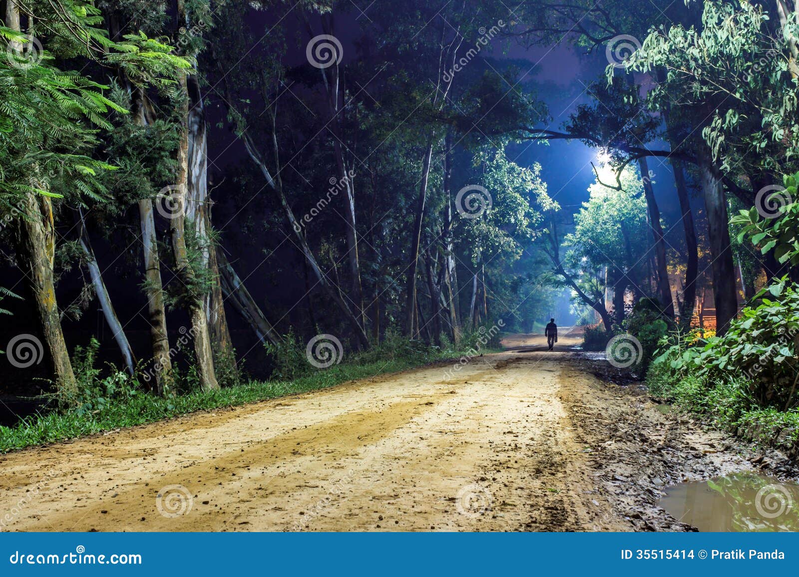 lonely man on forest road, night landscape