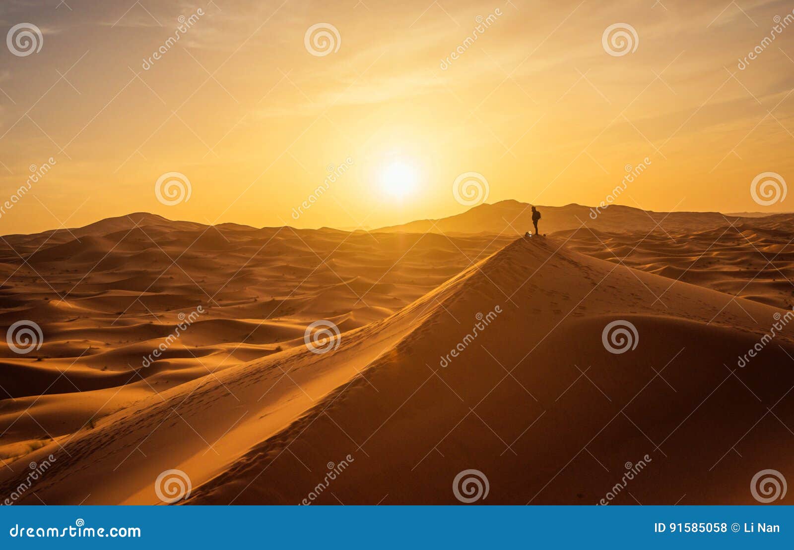 lonely man in sahara desert