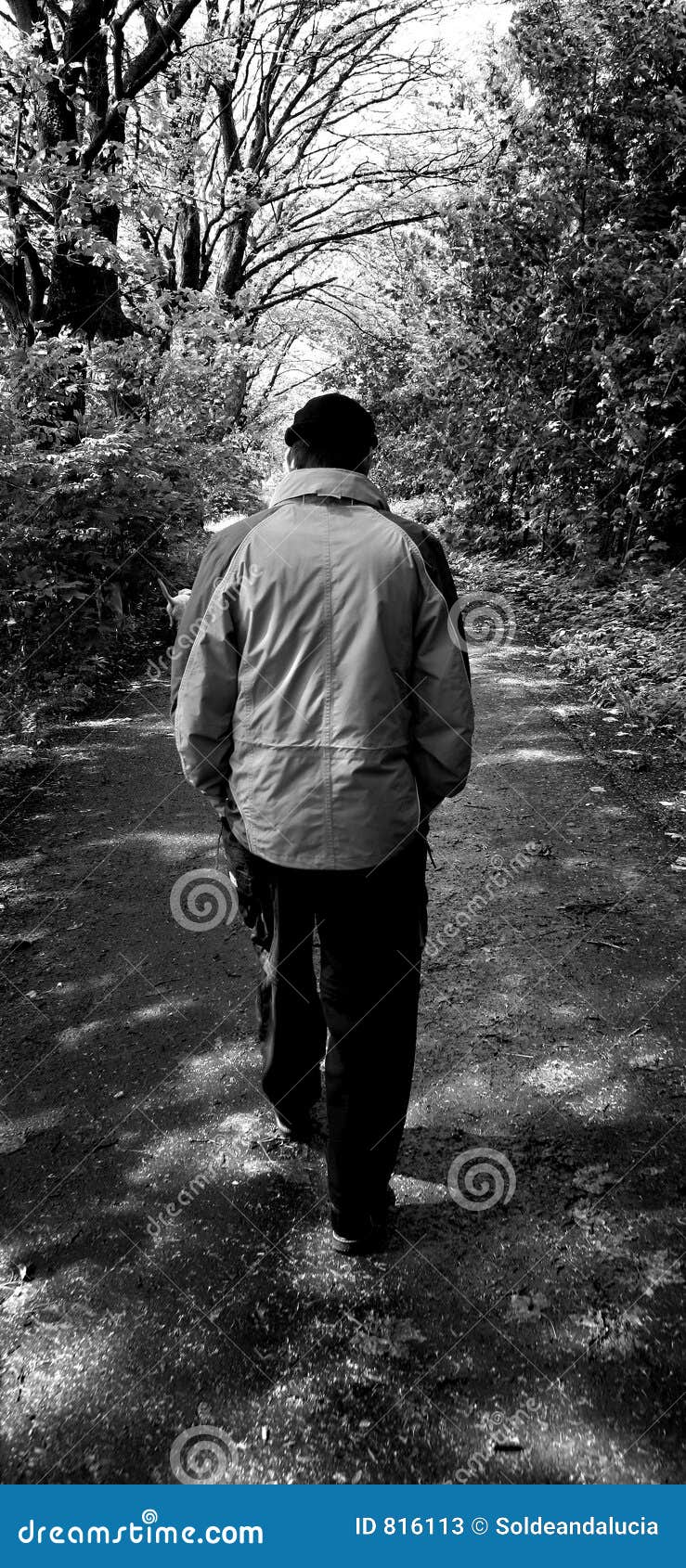 Lonely Man Walking Stock Image Image Of Suicid Searching