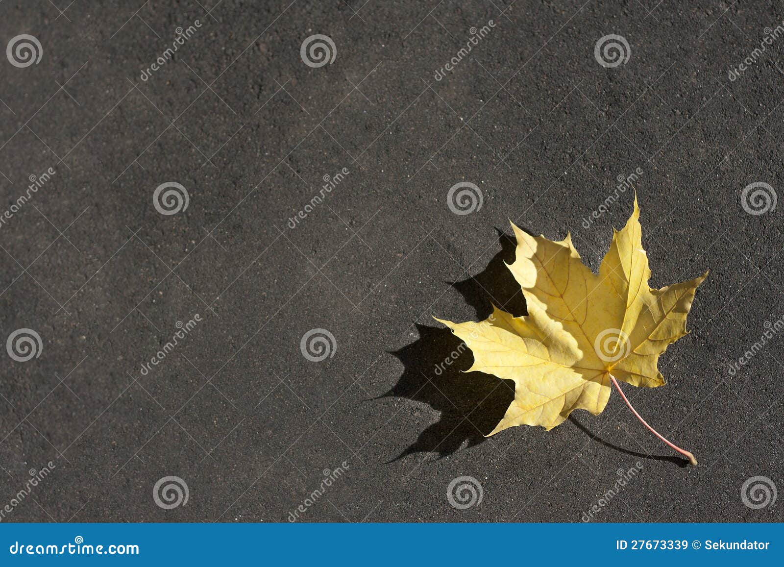 Lonely Red Leaf on the Ground Stock Image Image of close, foliage