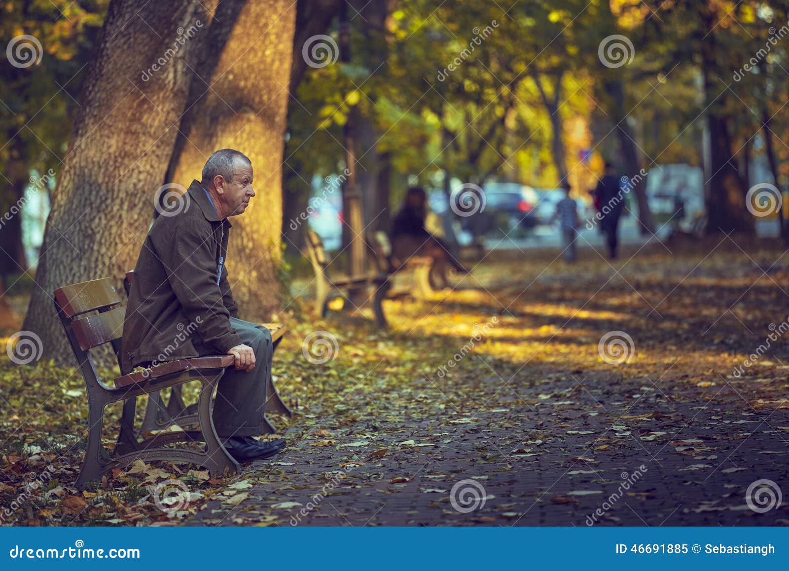 Lonely Retired Man on a Bench Editorial Image - Image of autumnal ...