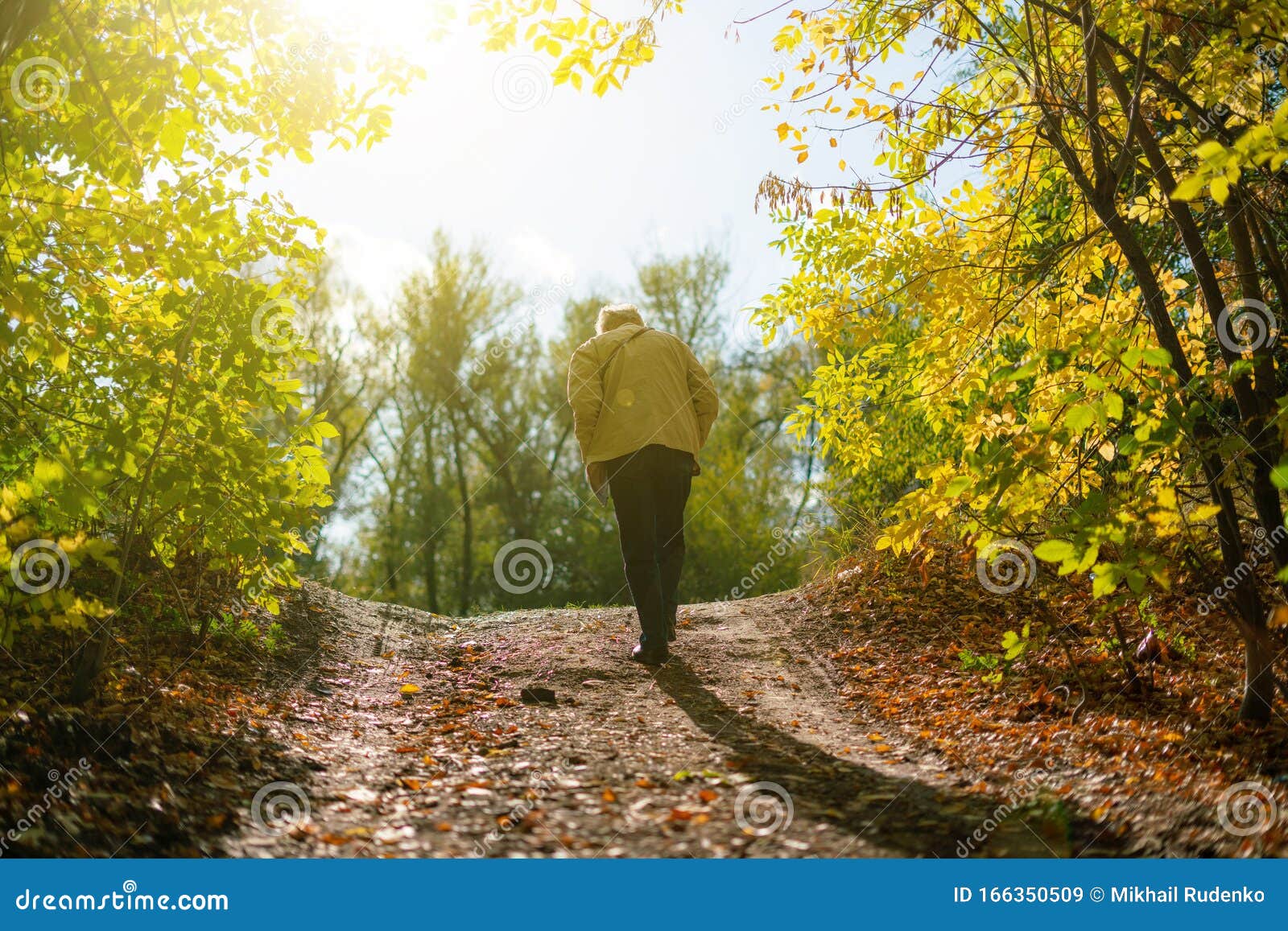 A Lonely Senior Man Walking in the Autumn Forest with Fallen Leaves