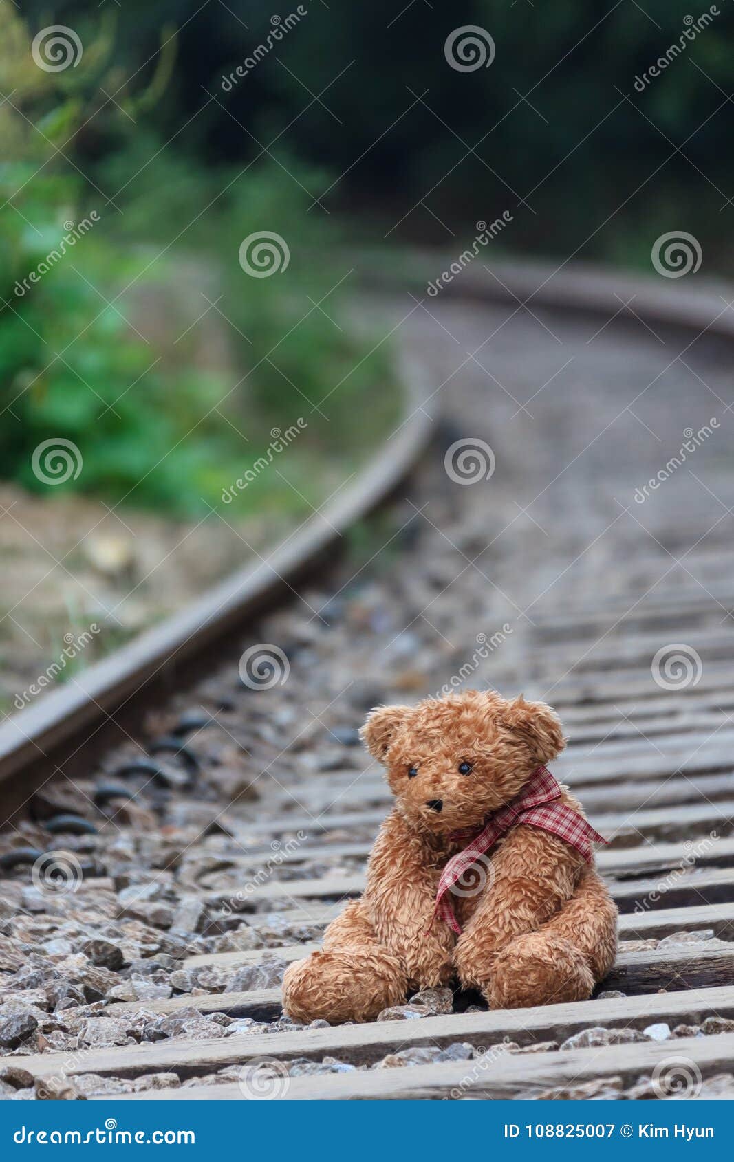 lonely teddy bear