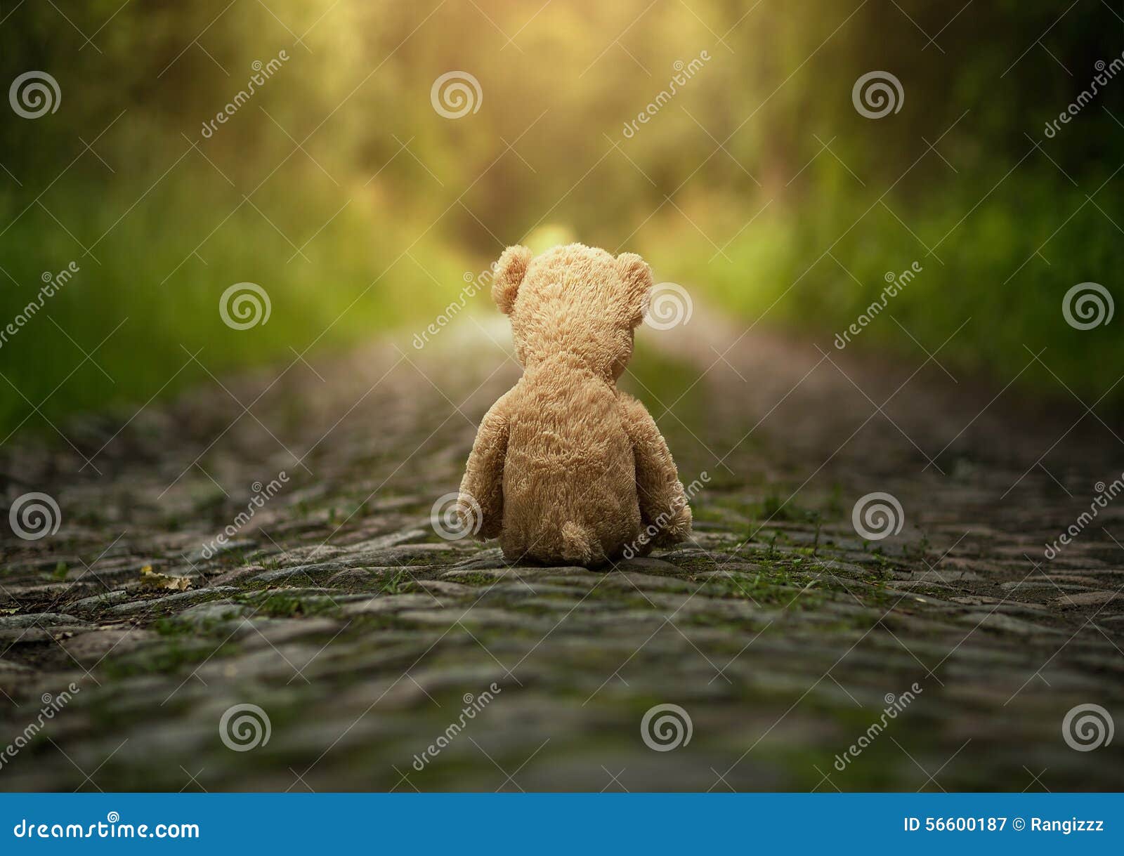 lonely teddy bear on the road