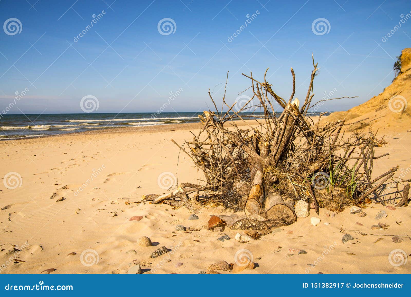 lonesome, unaffected beach of the baltic sea