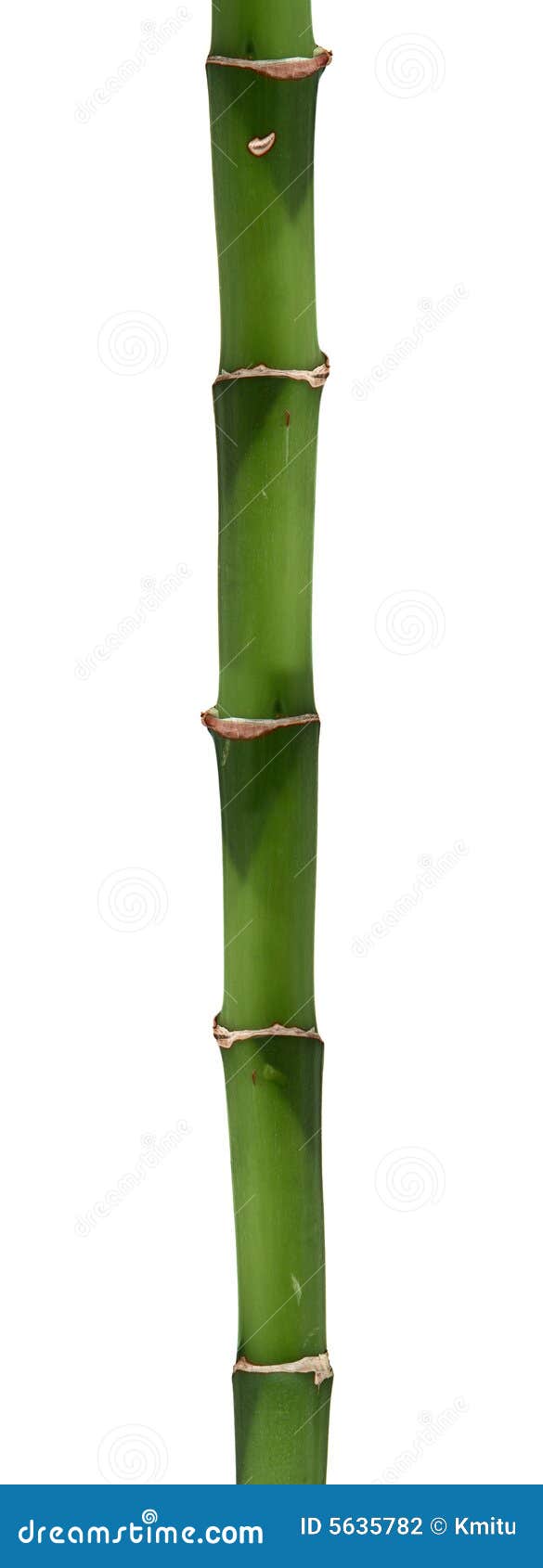 Long bamboo stick stock photo. Image of tropical, concept - 5635782